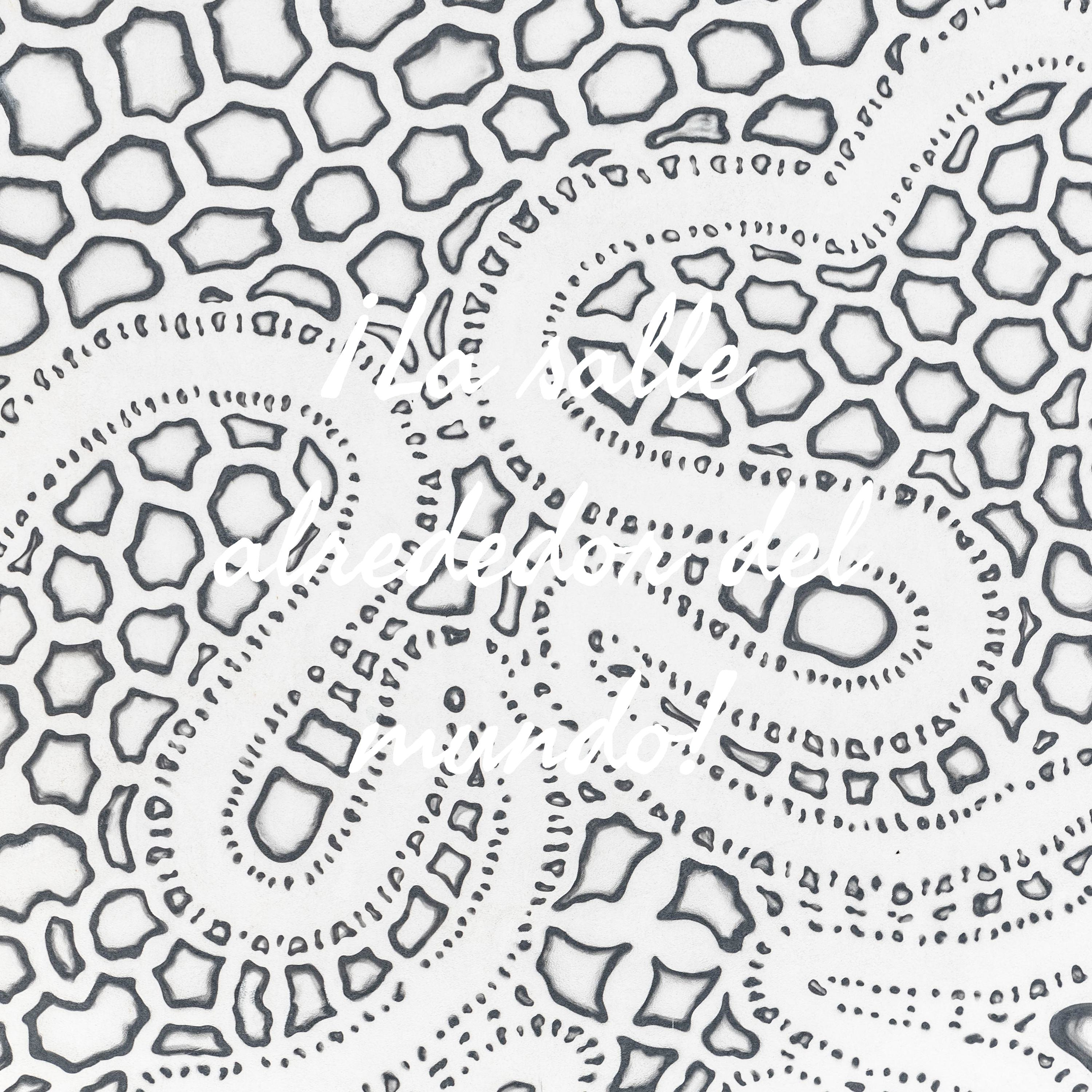 ¡La salle alrededor del mundo! cover art