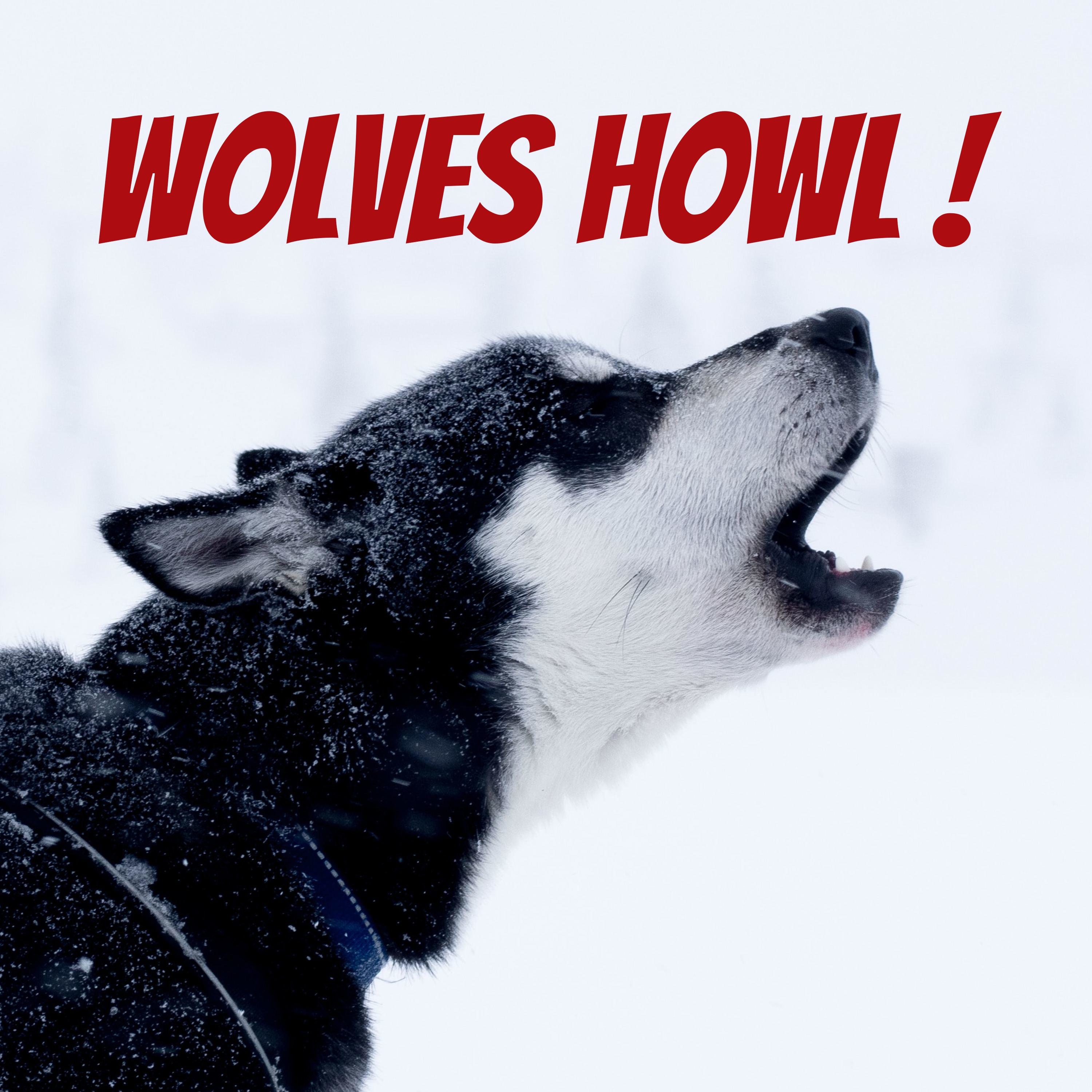 Wolves Howl !