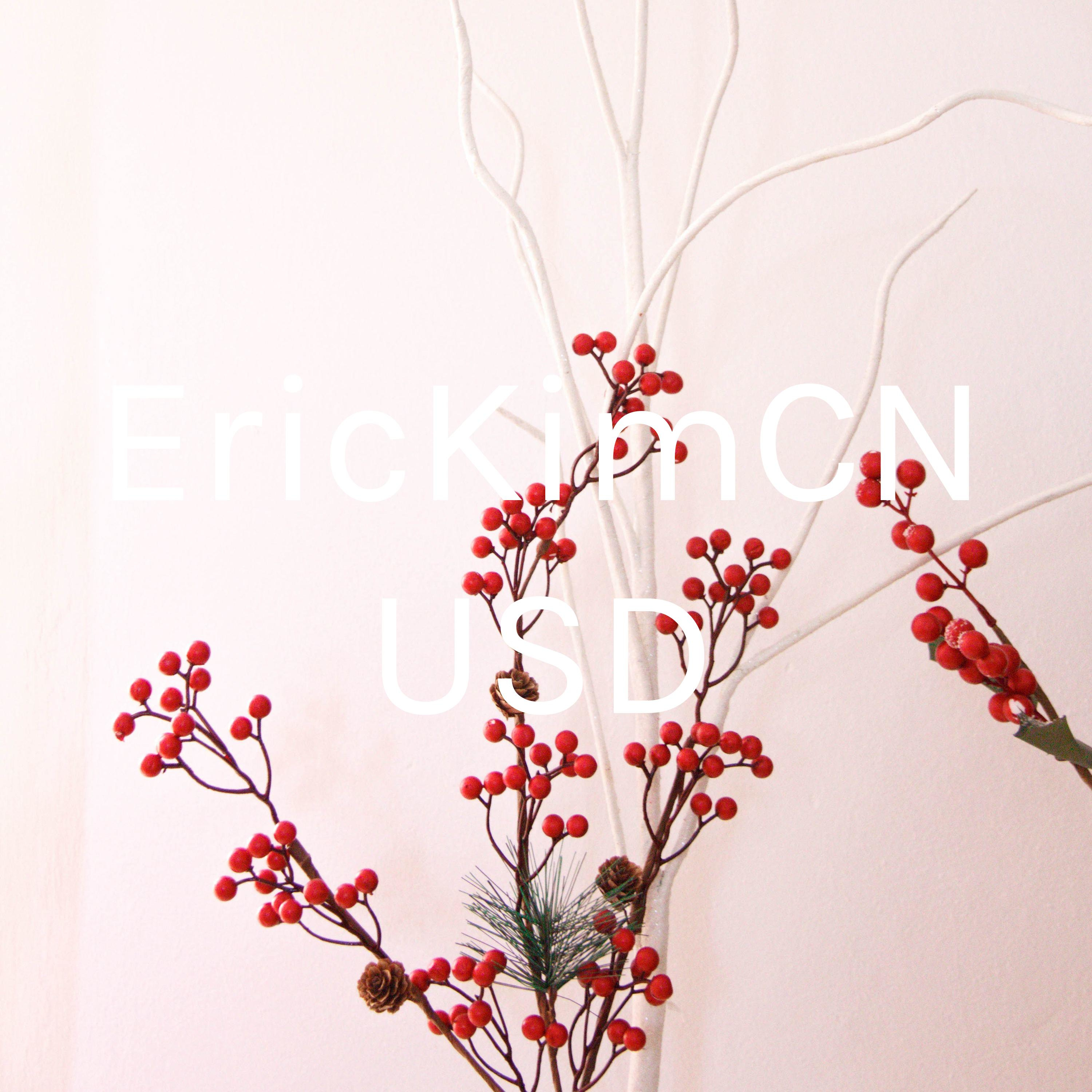 EricKimCNUSD
