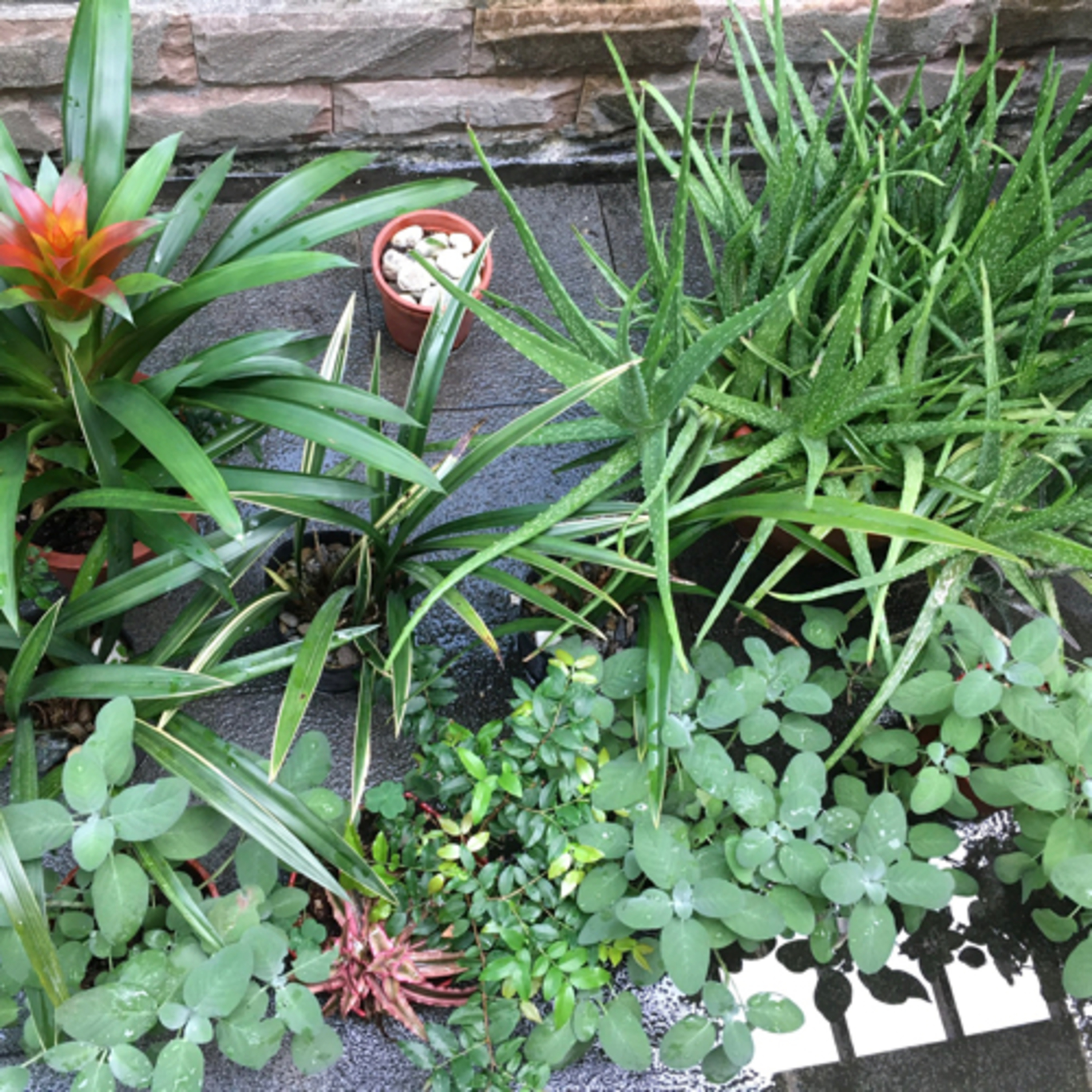 Subtle Awareness｜Yoga with Amily cover art