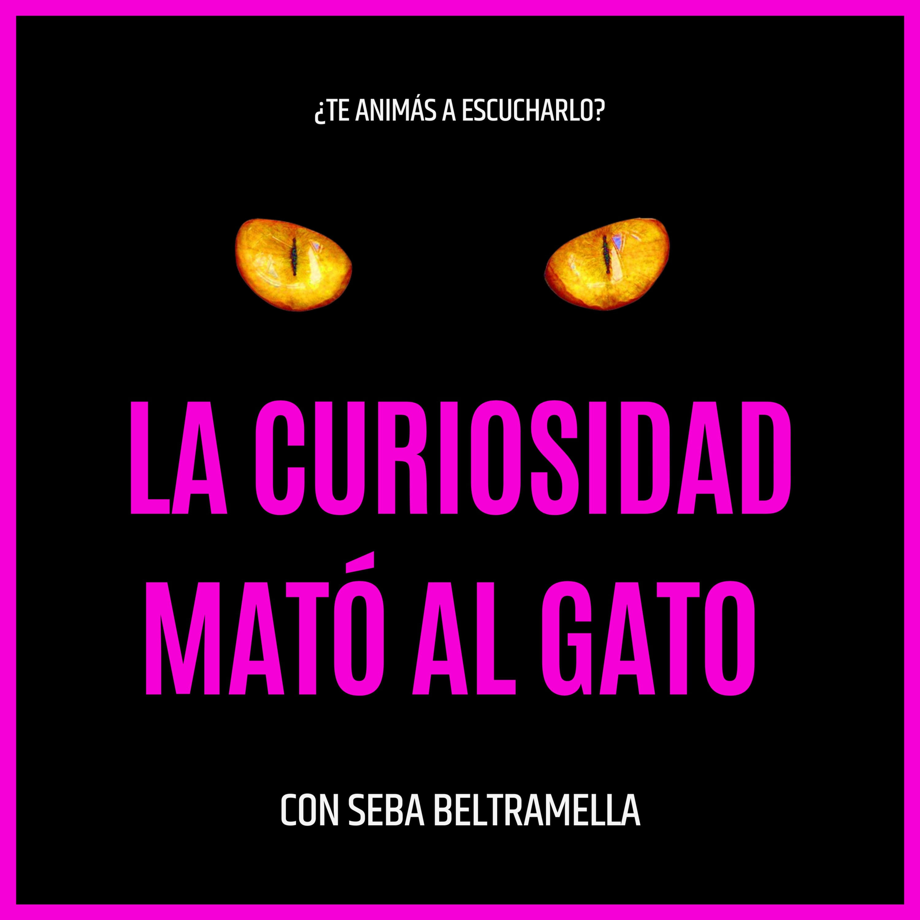 La curiosidad mató al gato cover art