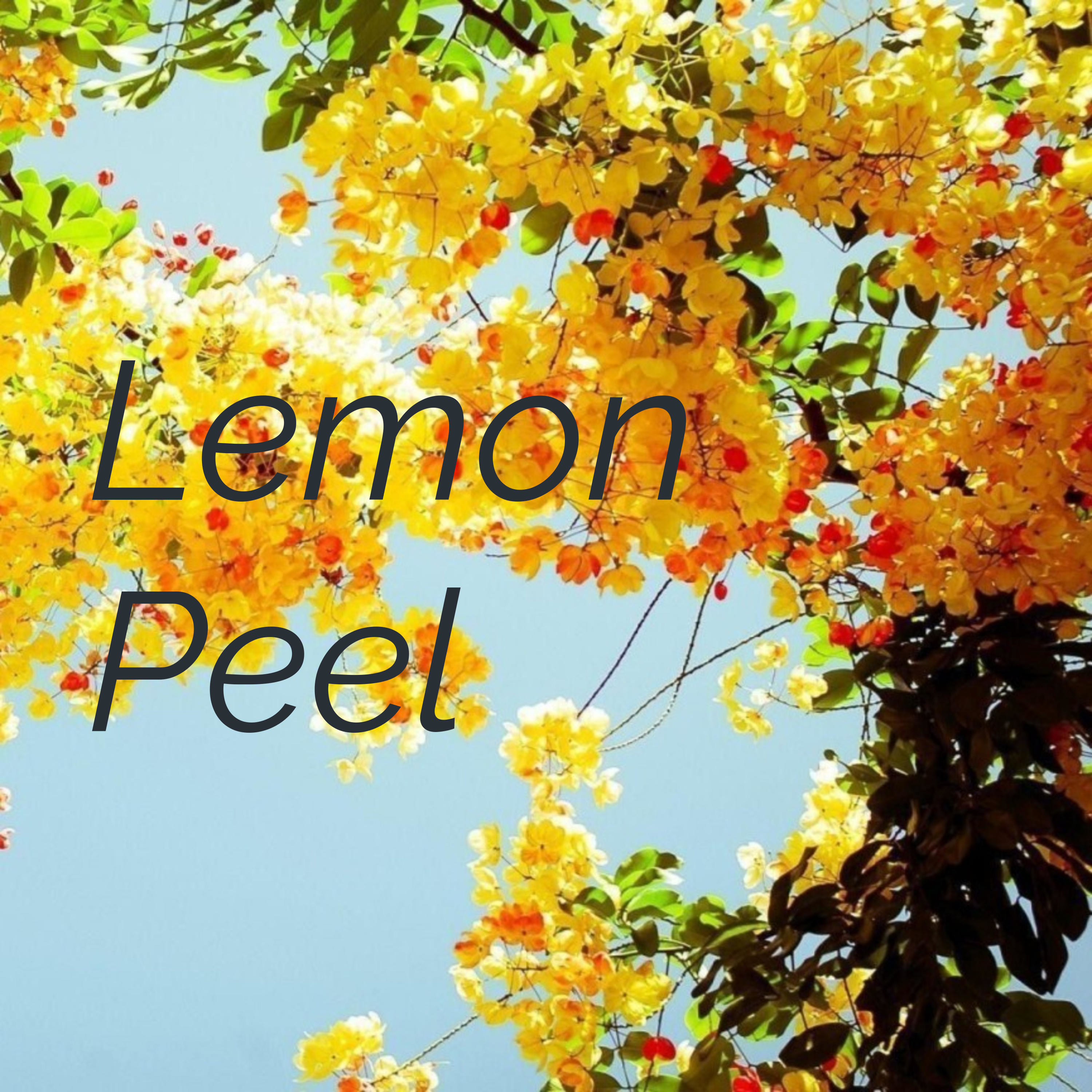 Lemon Peel