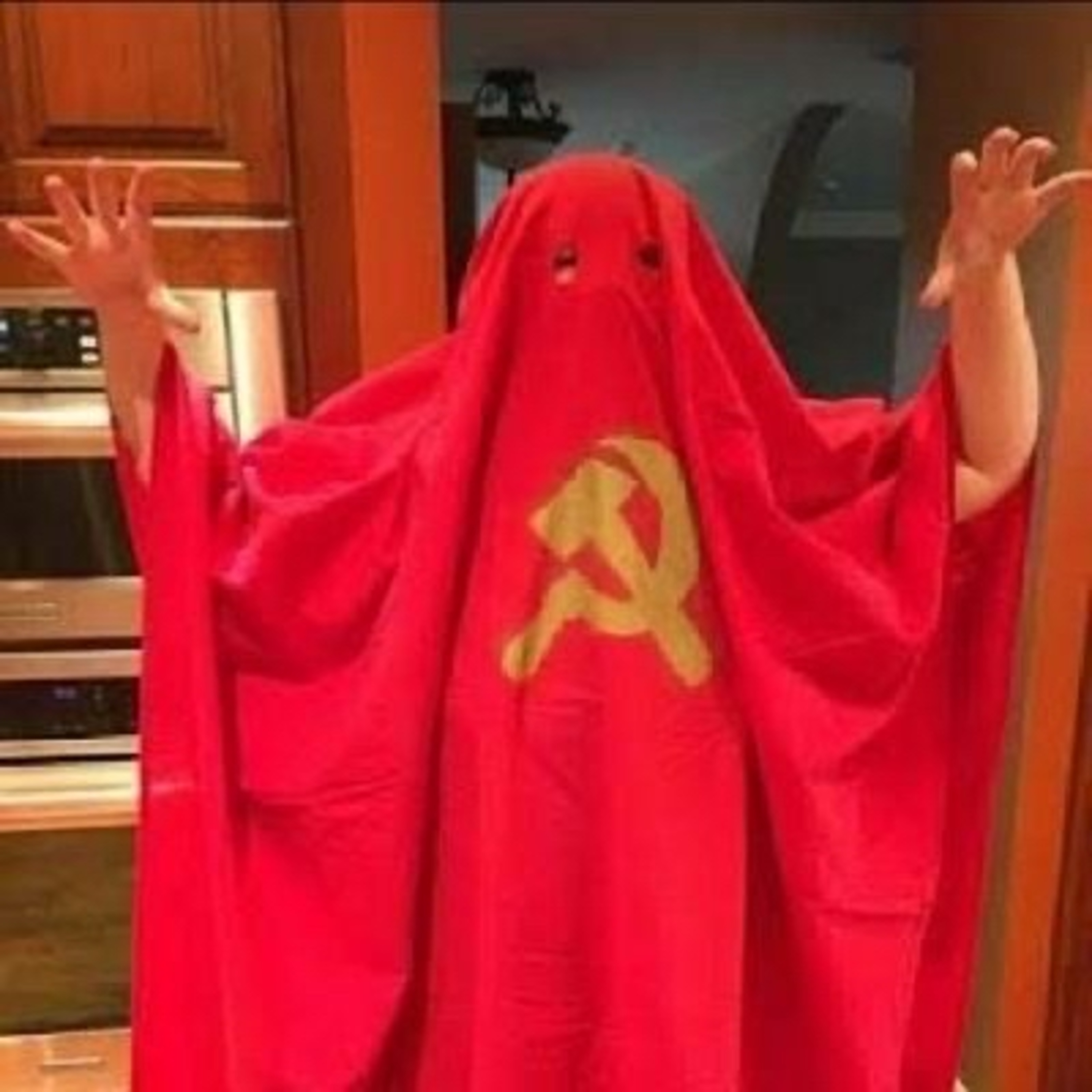 As visões de Foucault e Weber sobre a pandemia no Brasil cover art