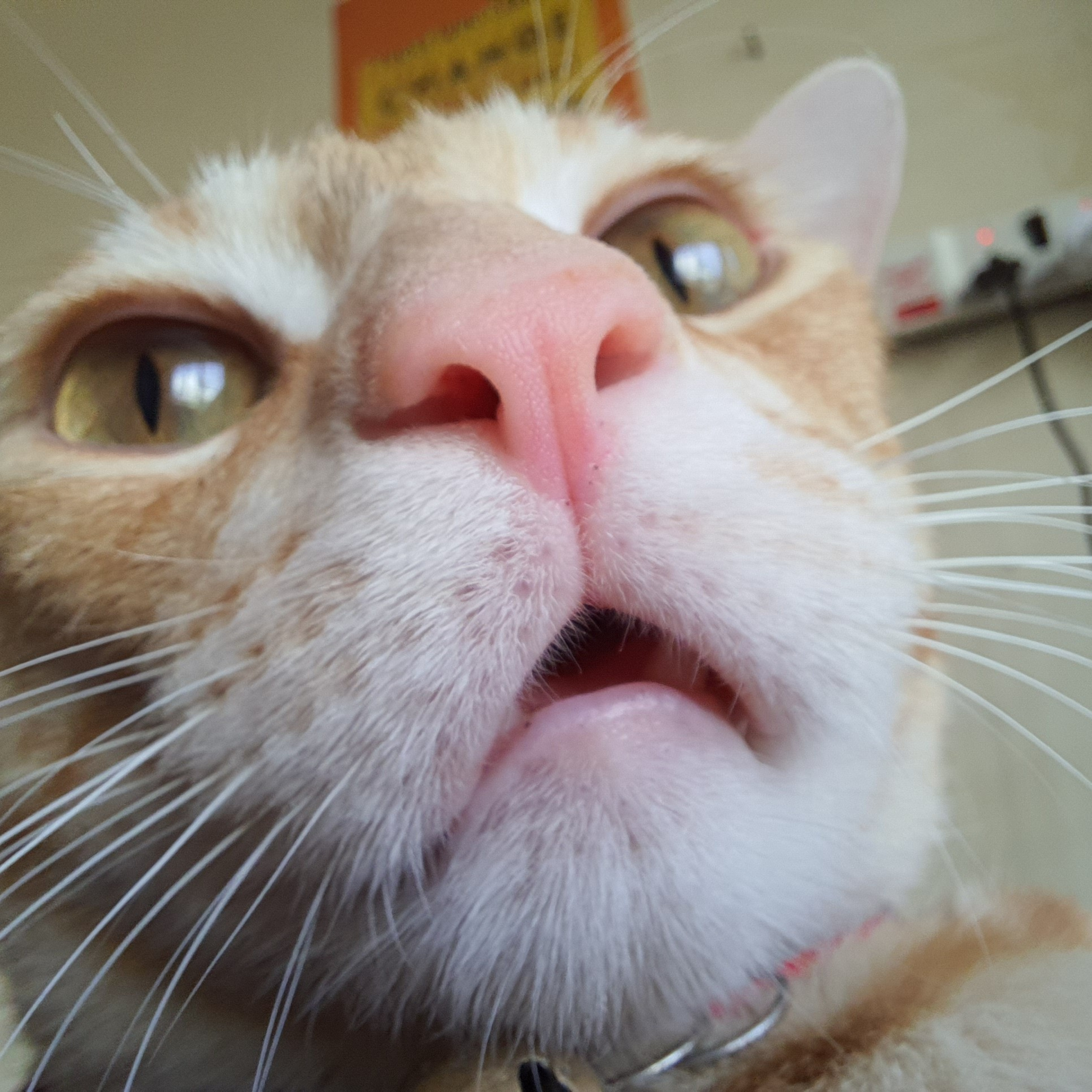 Mera Chota Sa Introduction