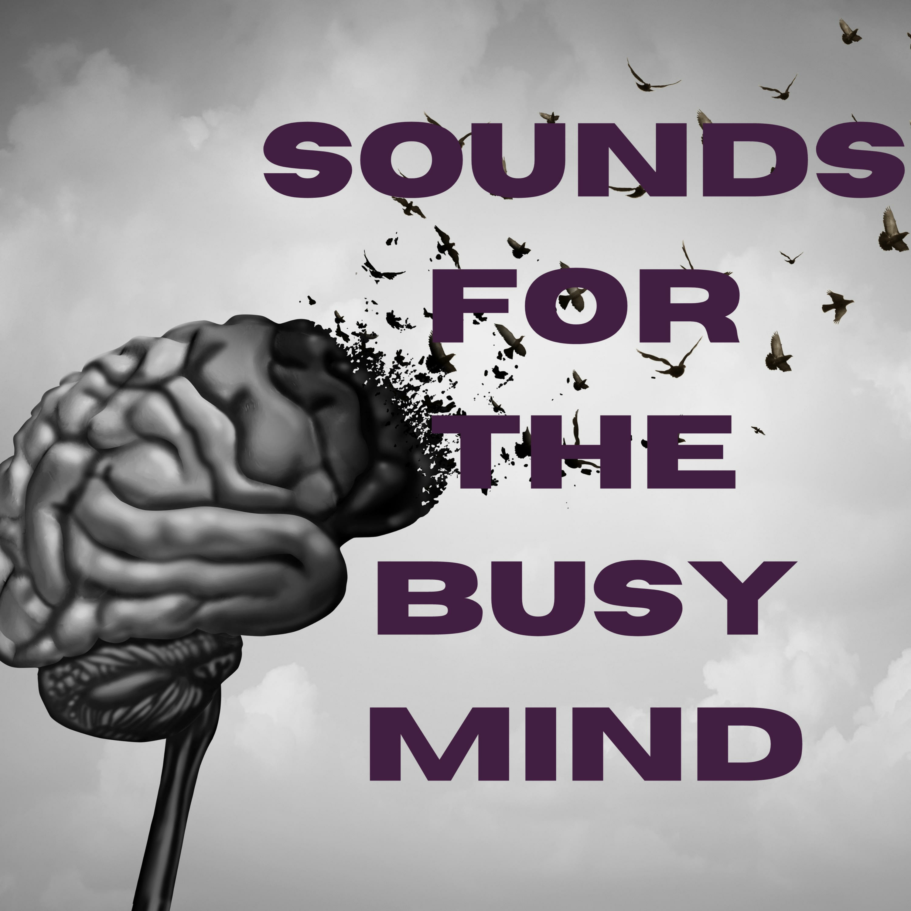 Sounds For the Busy Mind podcast artwork