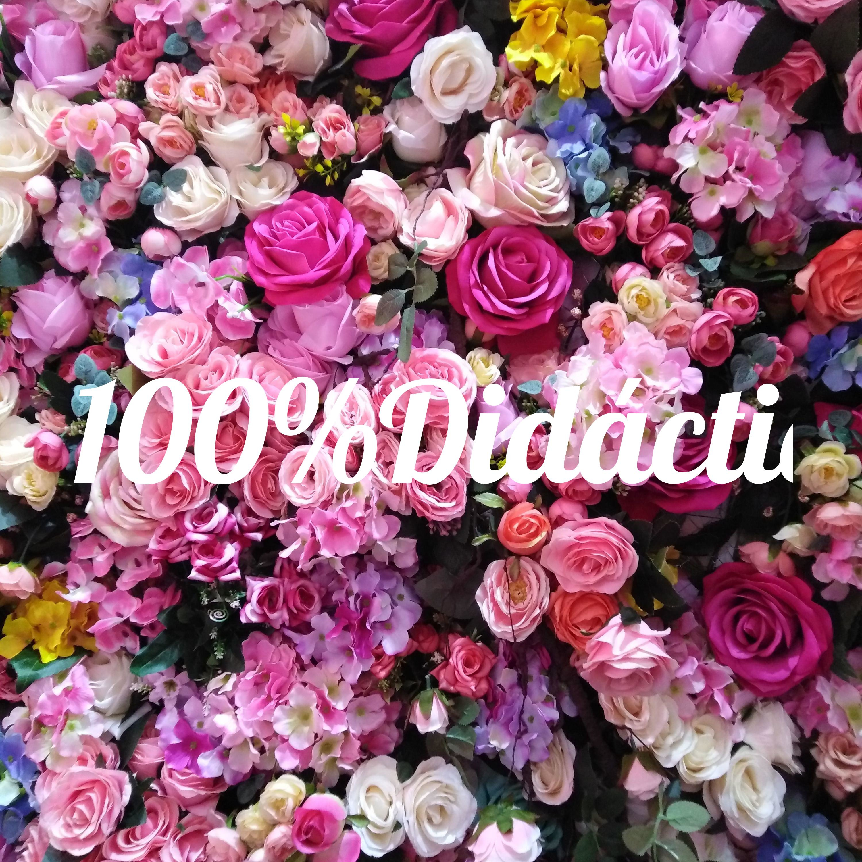 Portada de 100%Didáctico