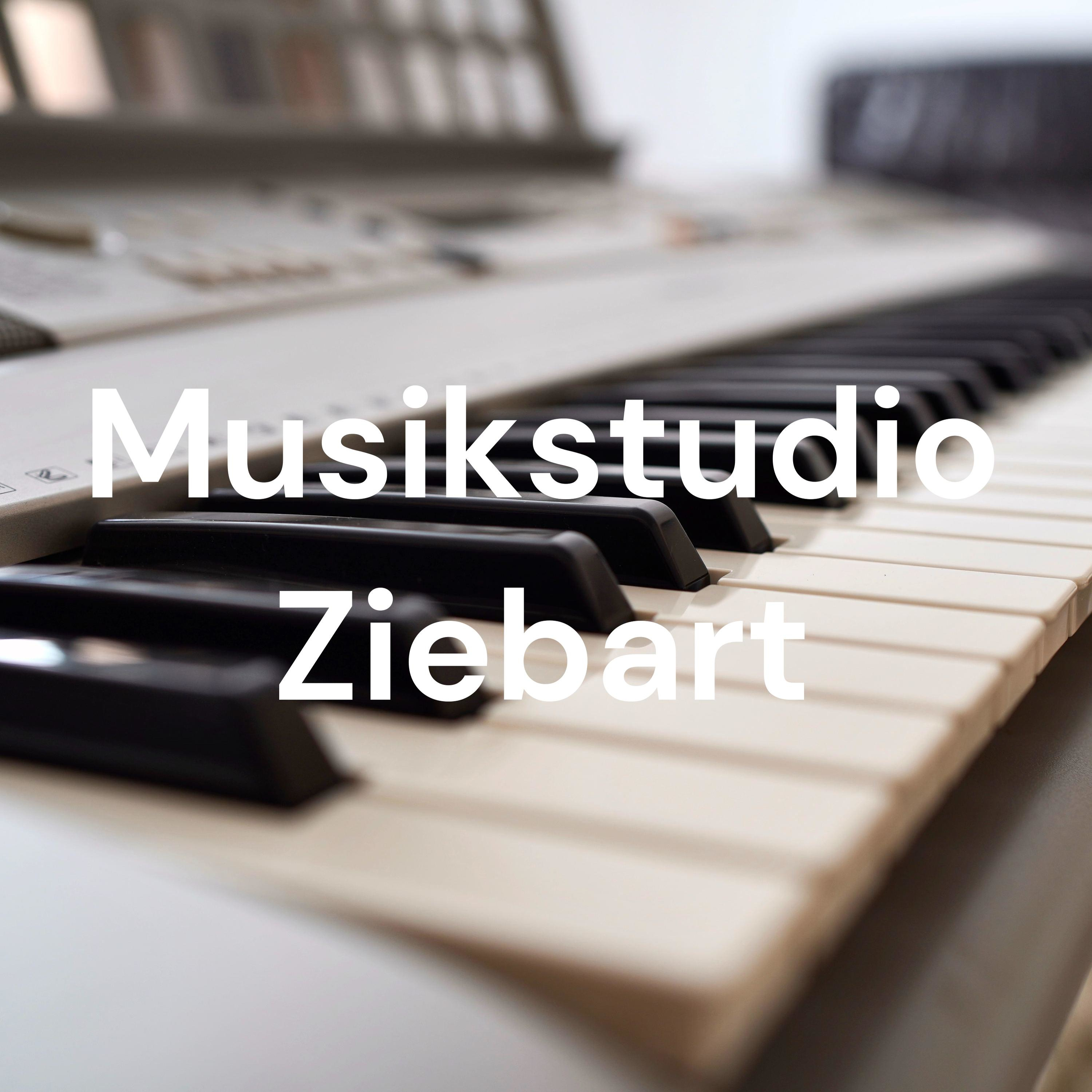 Musikstudio Ziebart cover art