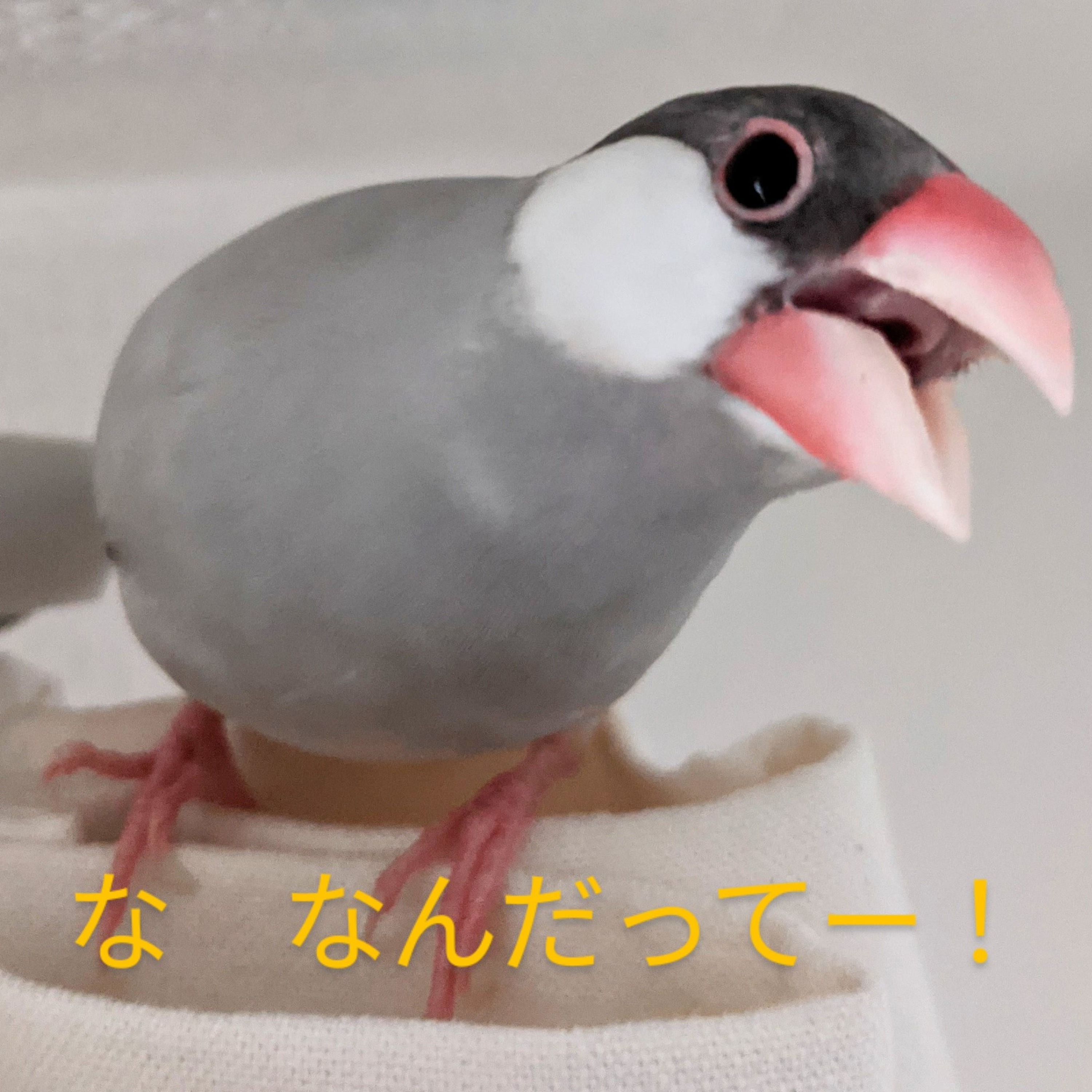 つっこみたいひとりごと