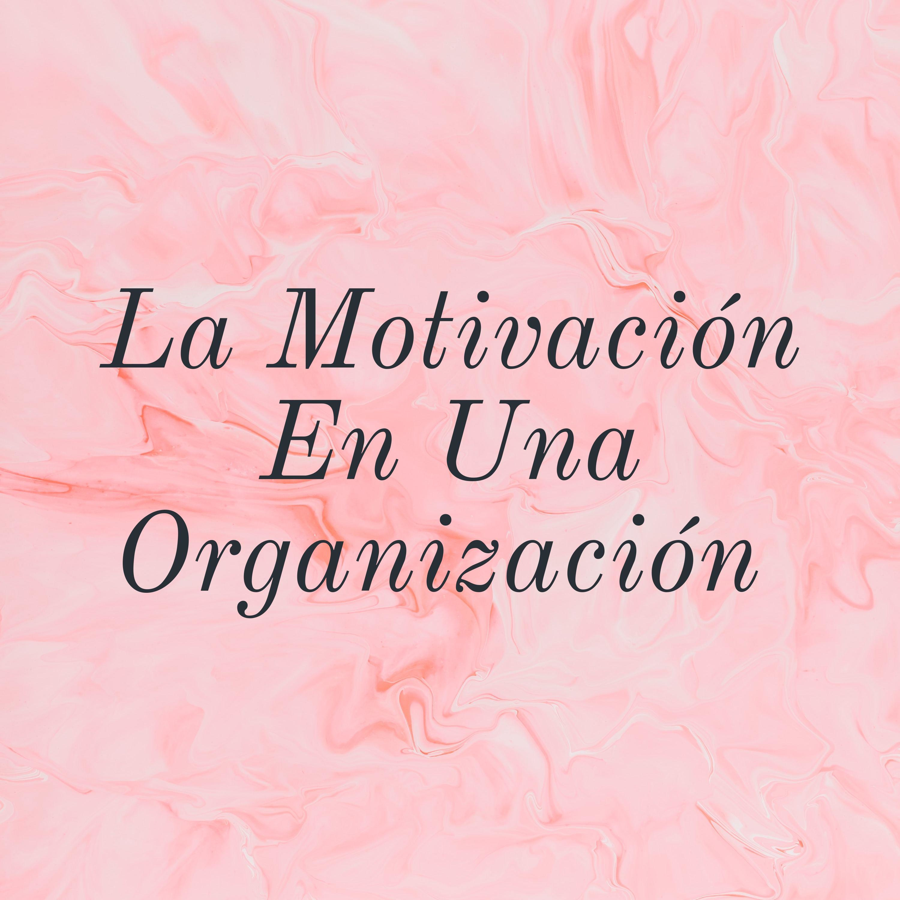 La Motivación En Una Organización cover art