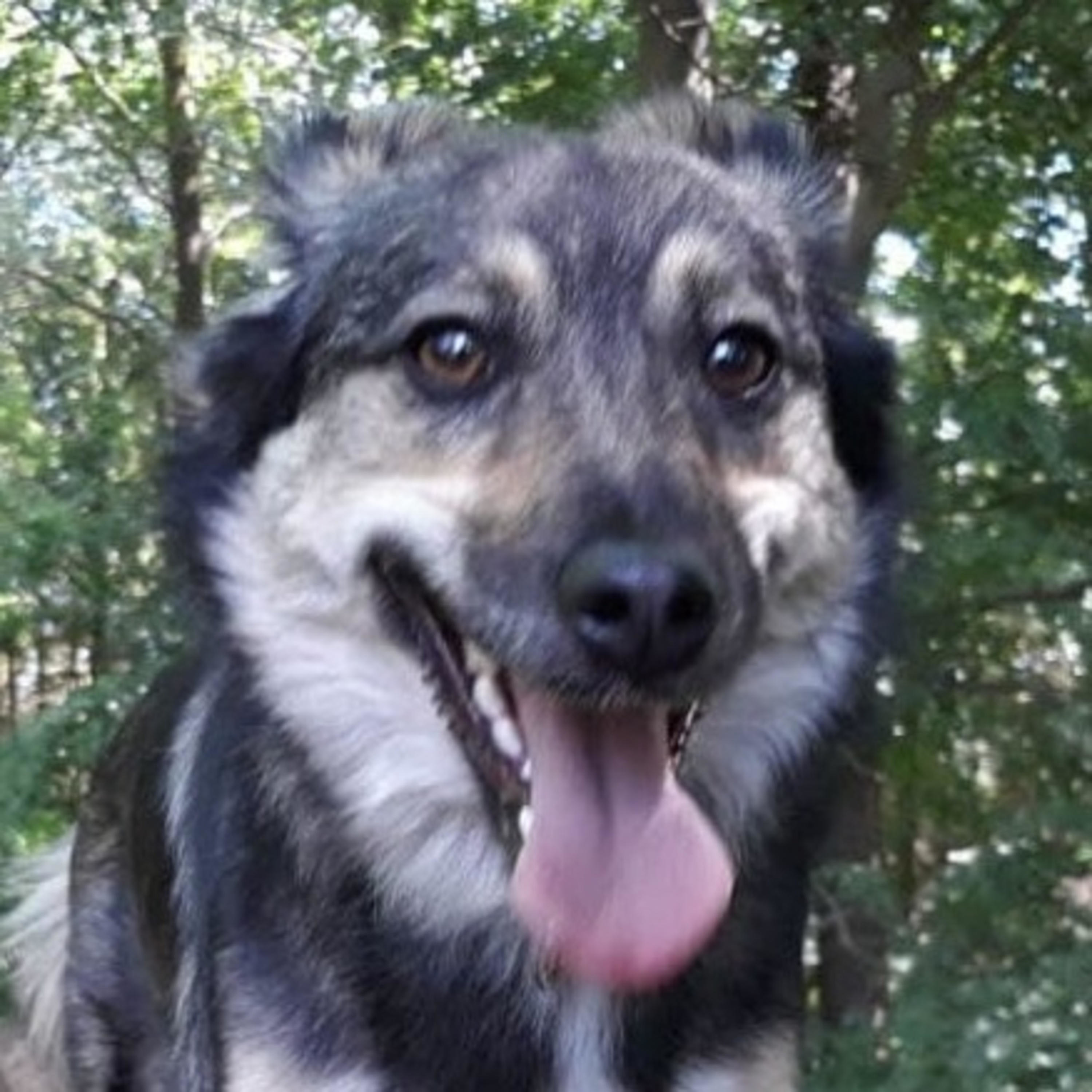 Morgane's Welt cover art