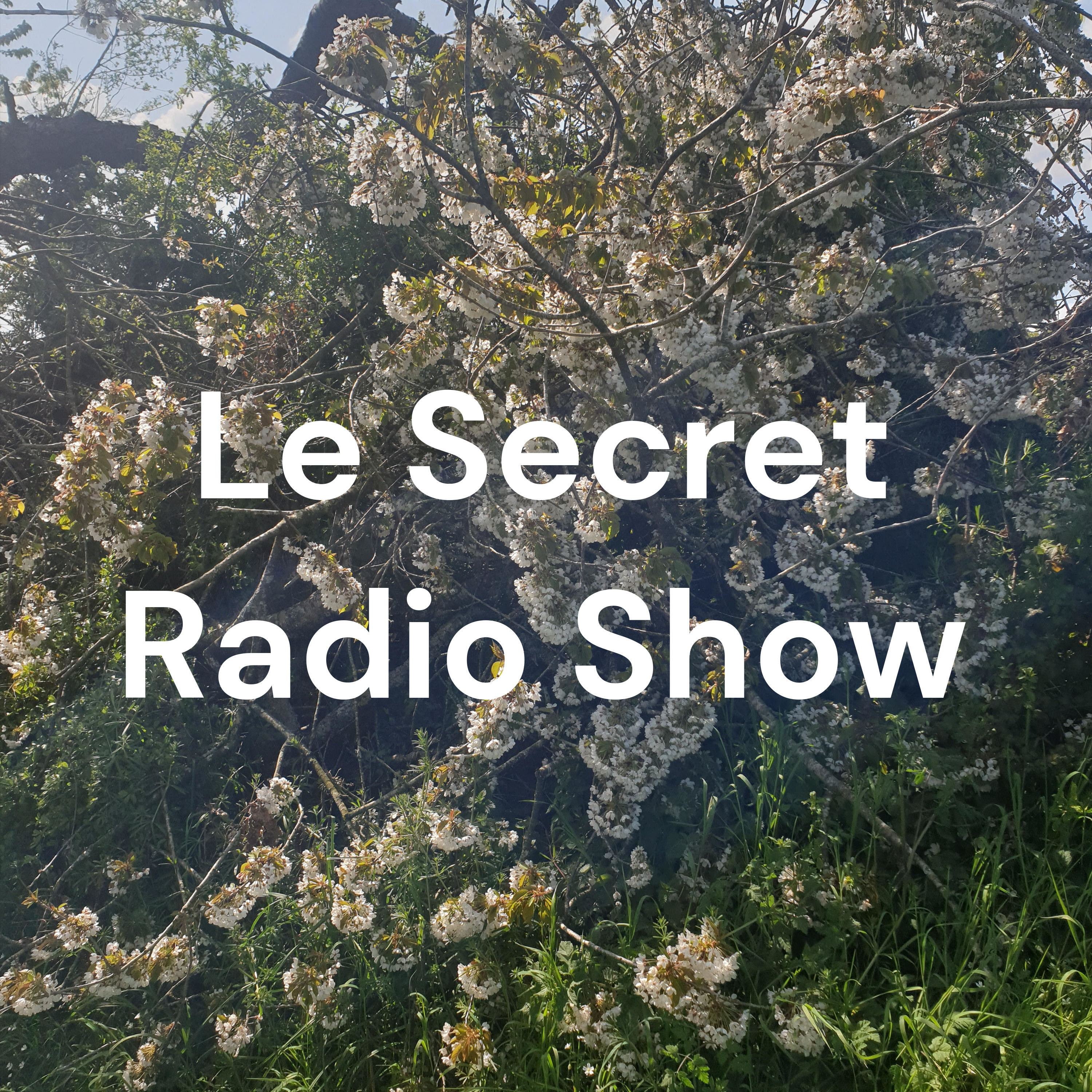 Le Secret Radio Show cover art