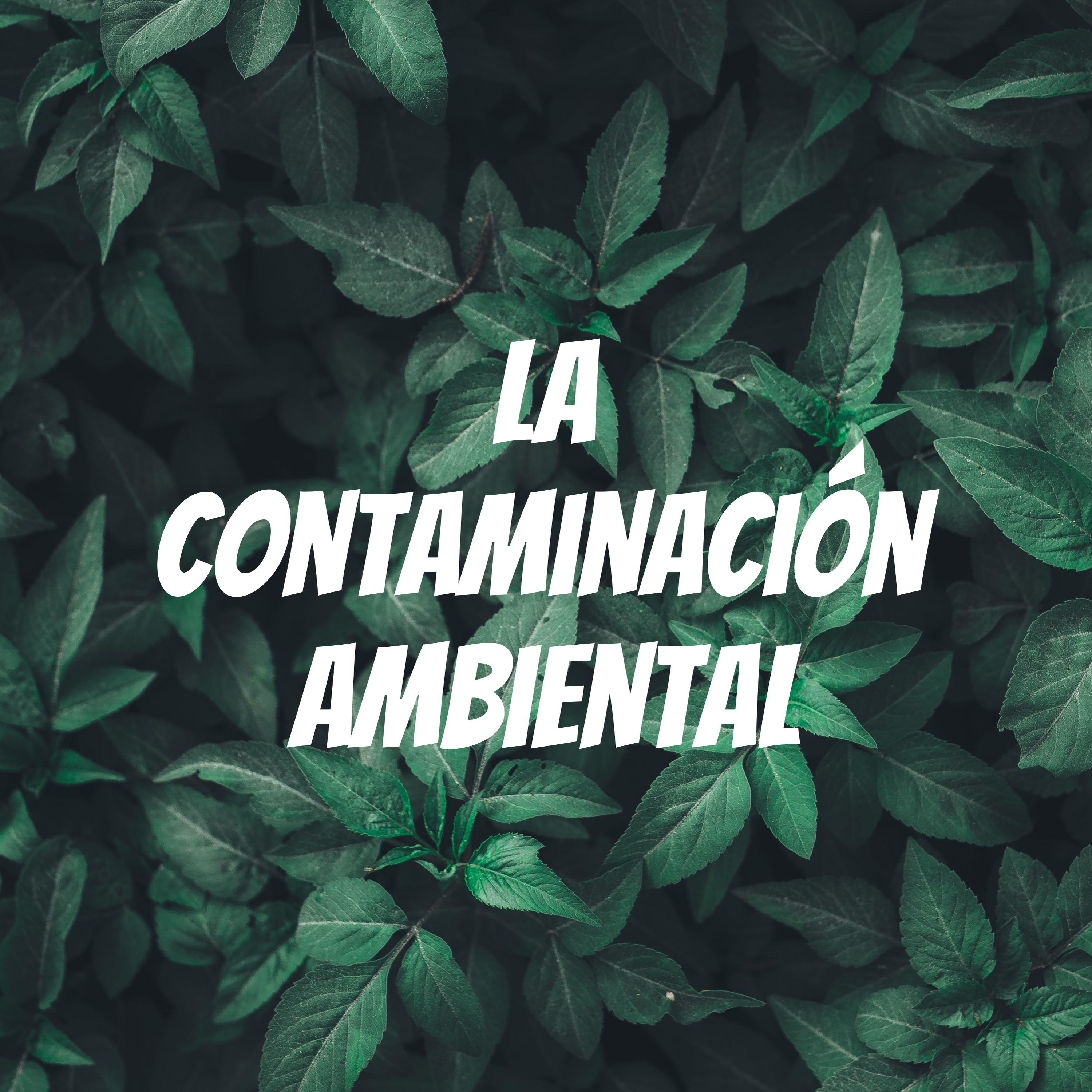 La contaminación ambiental cover art