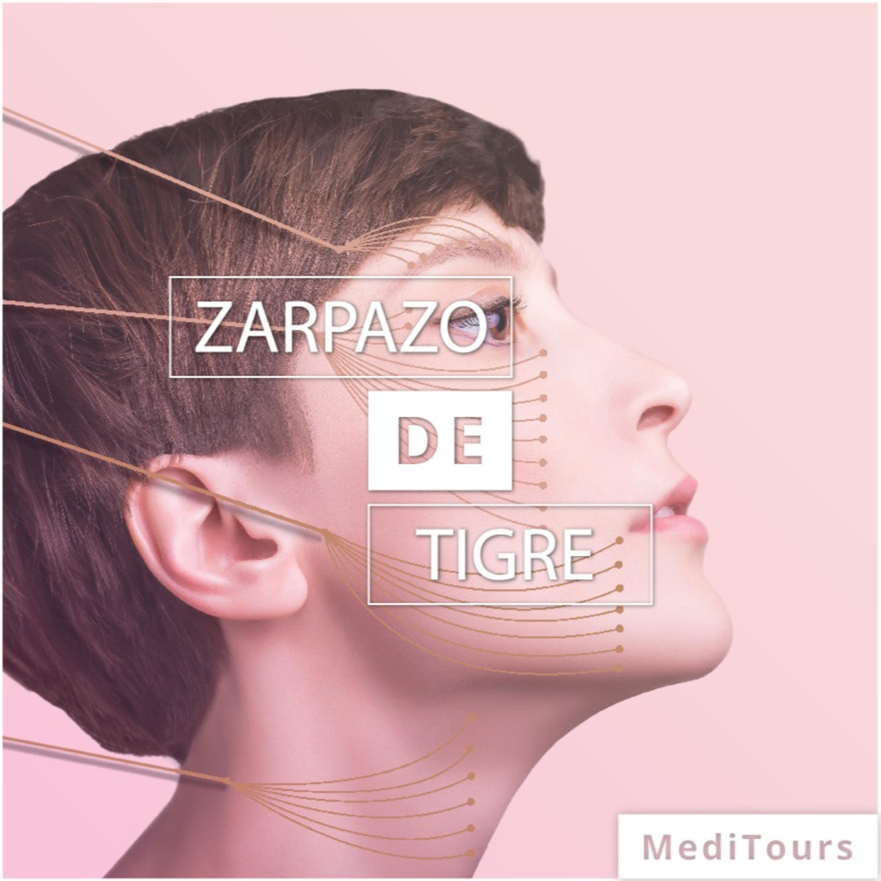 Zarpazo de tigre cover art