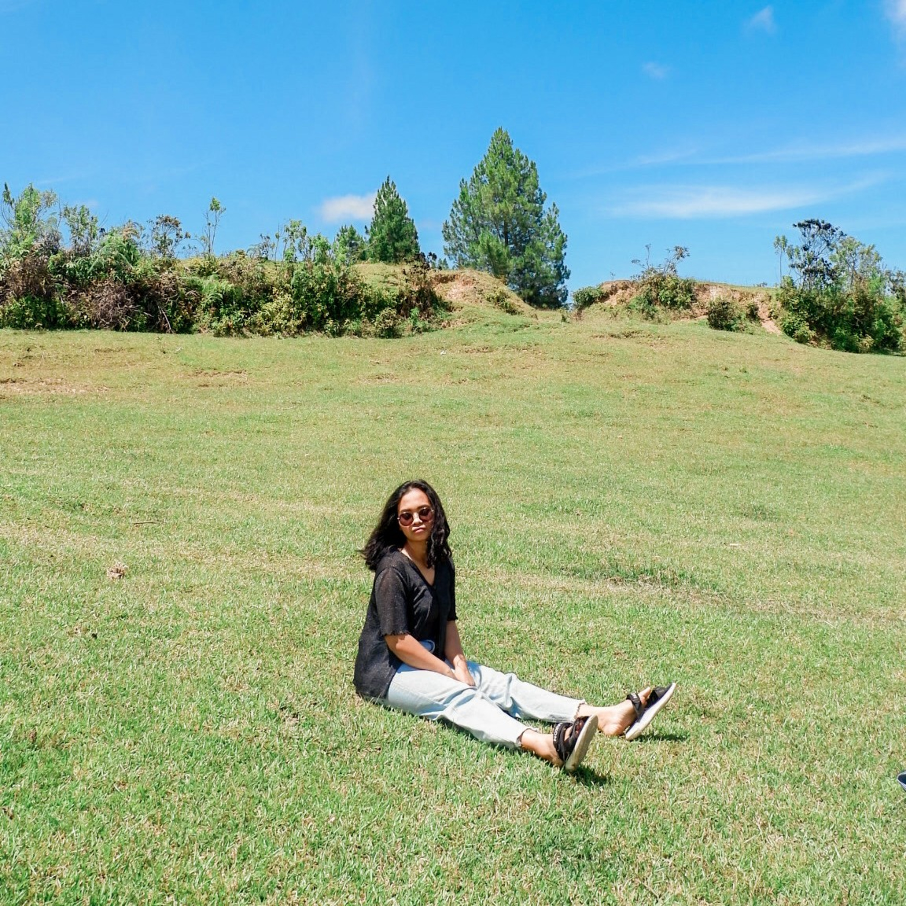 POV nya Wilda cover art