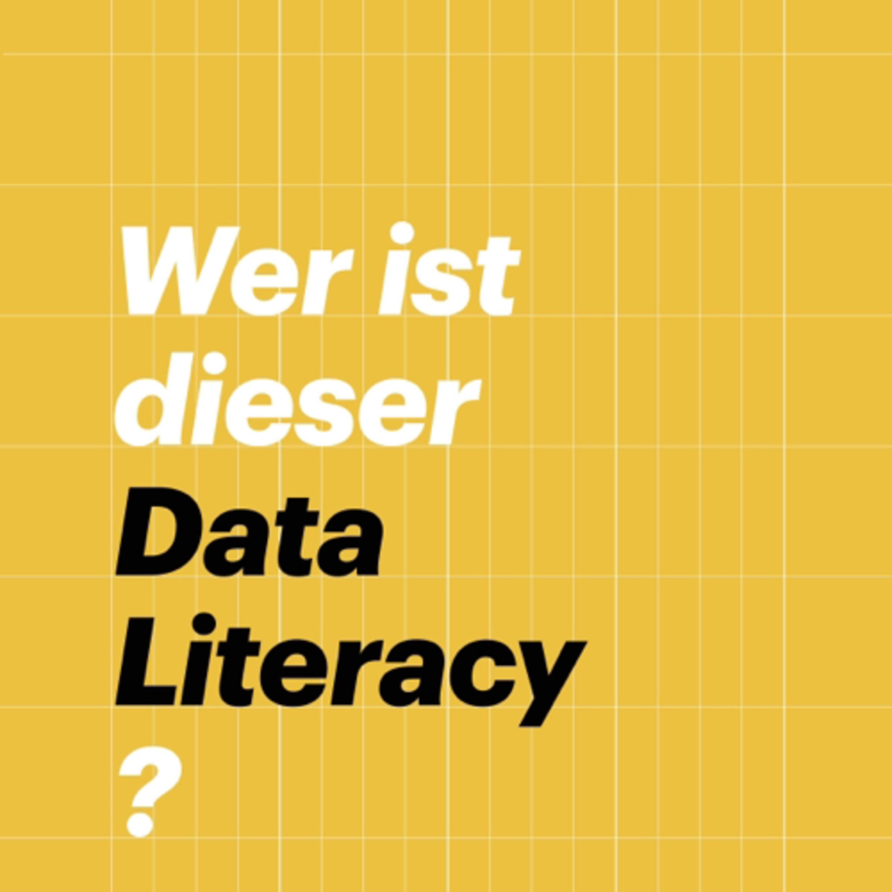 Wer ist dieser Data Literacy cover art
