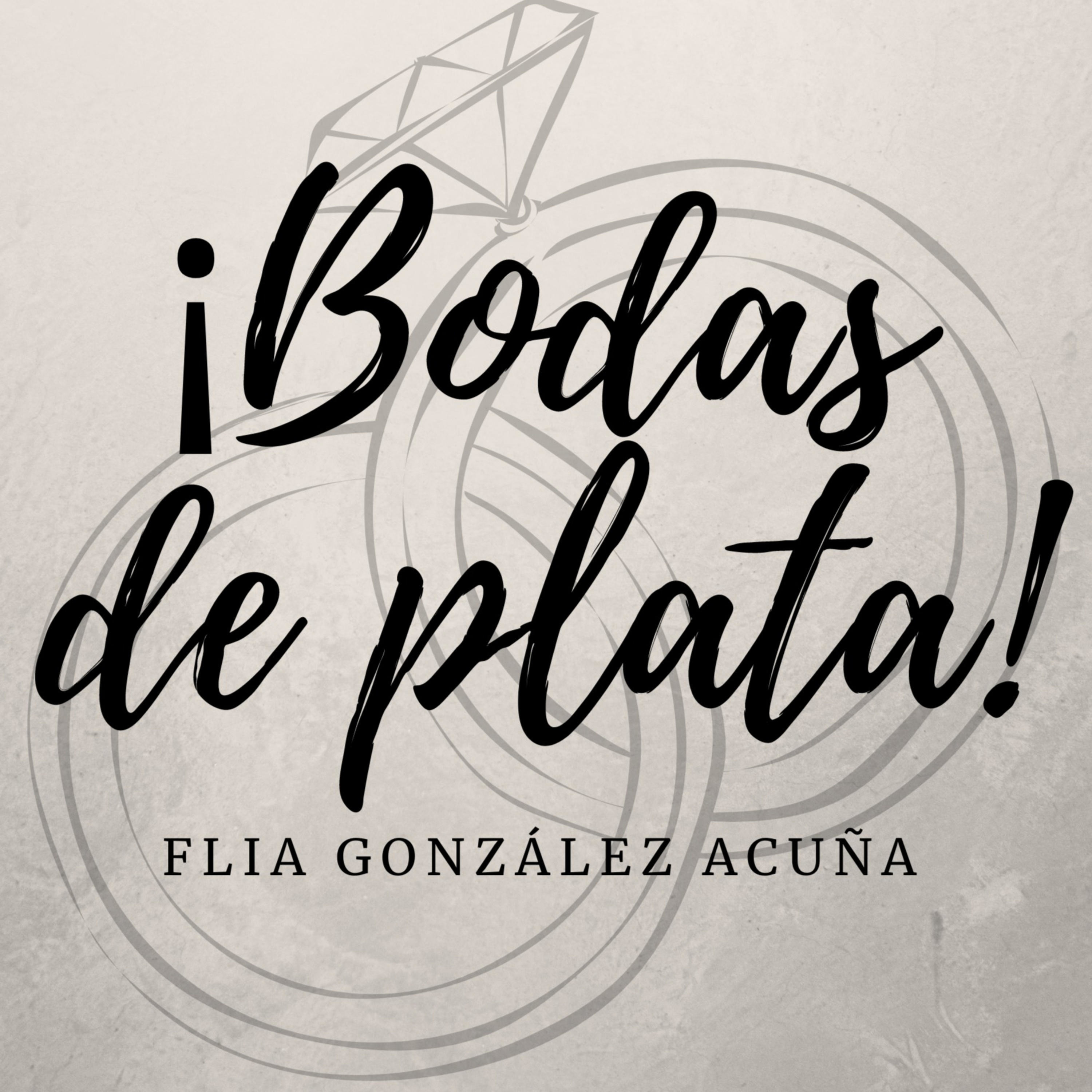 Bodas de plata cover art