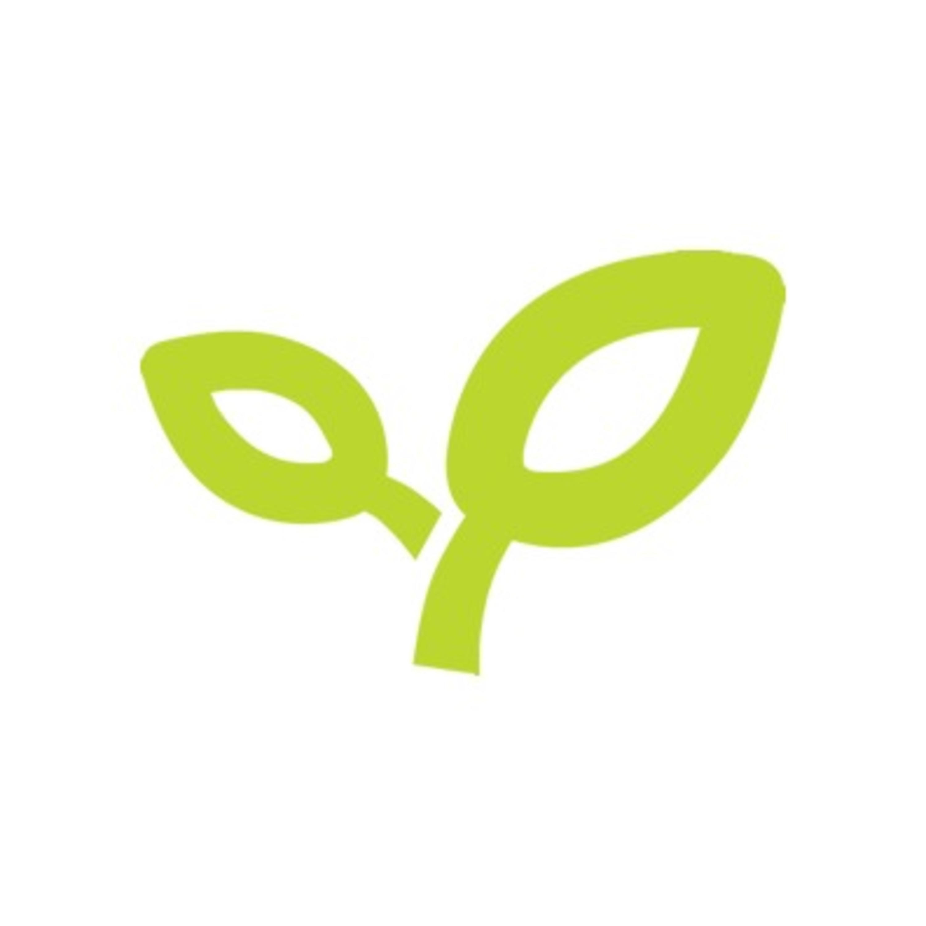 de facto o vás cover art