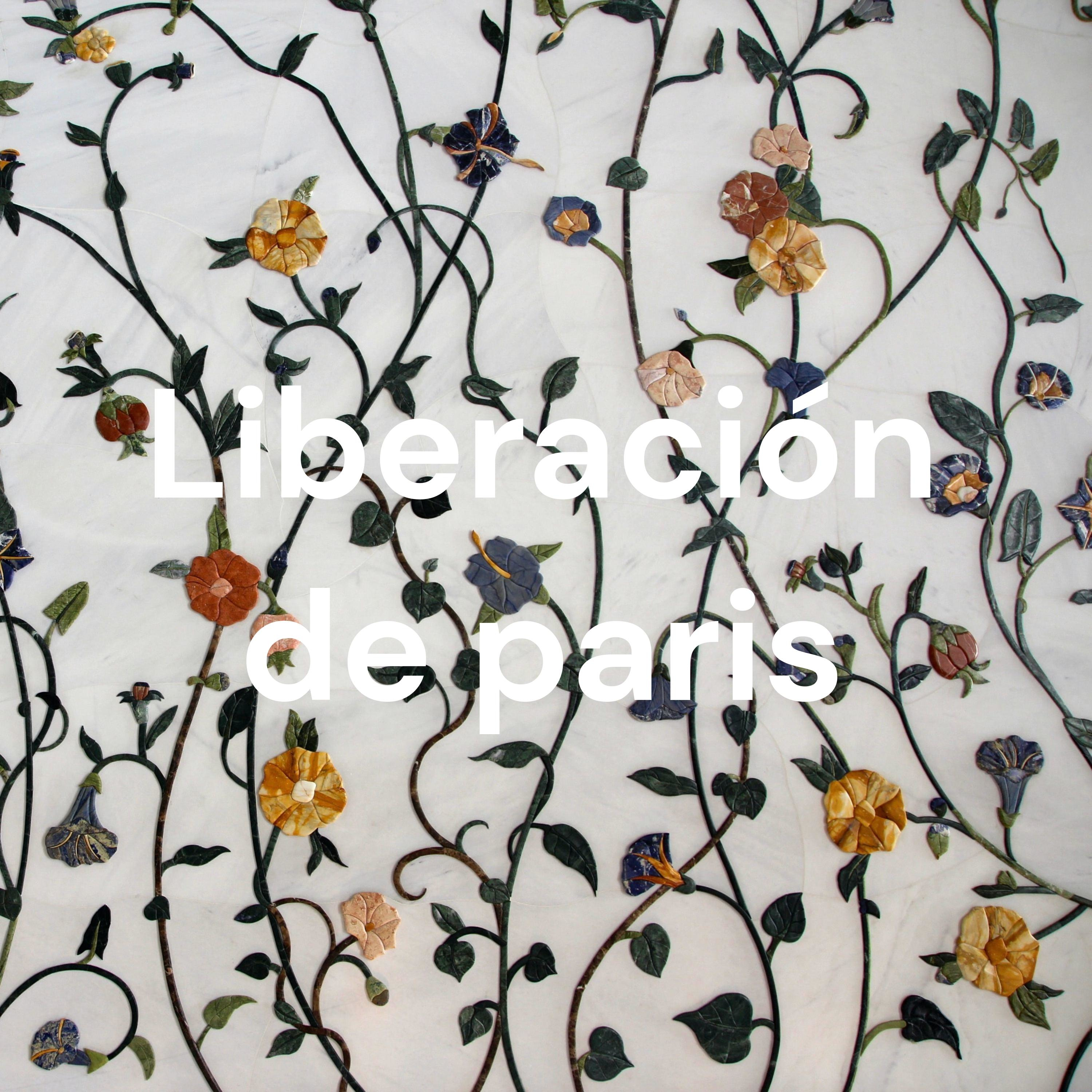 Liberación de paris cover art