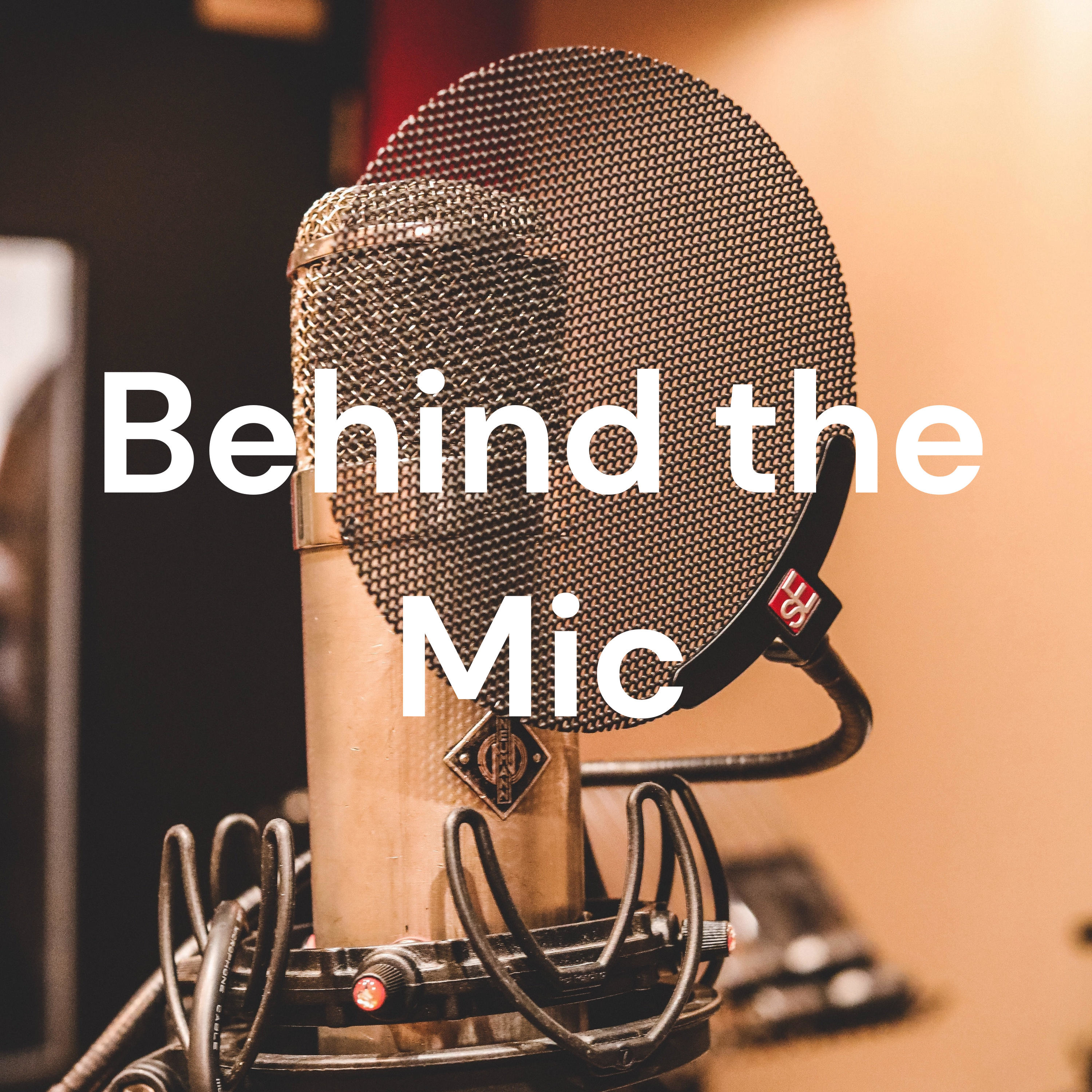 Rayman Behind the Mic Pop Shop 198 Rayman Behind the Mic Pop Shop 198