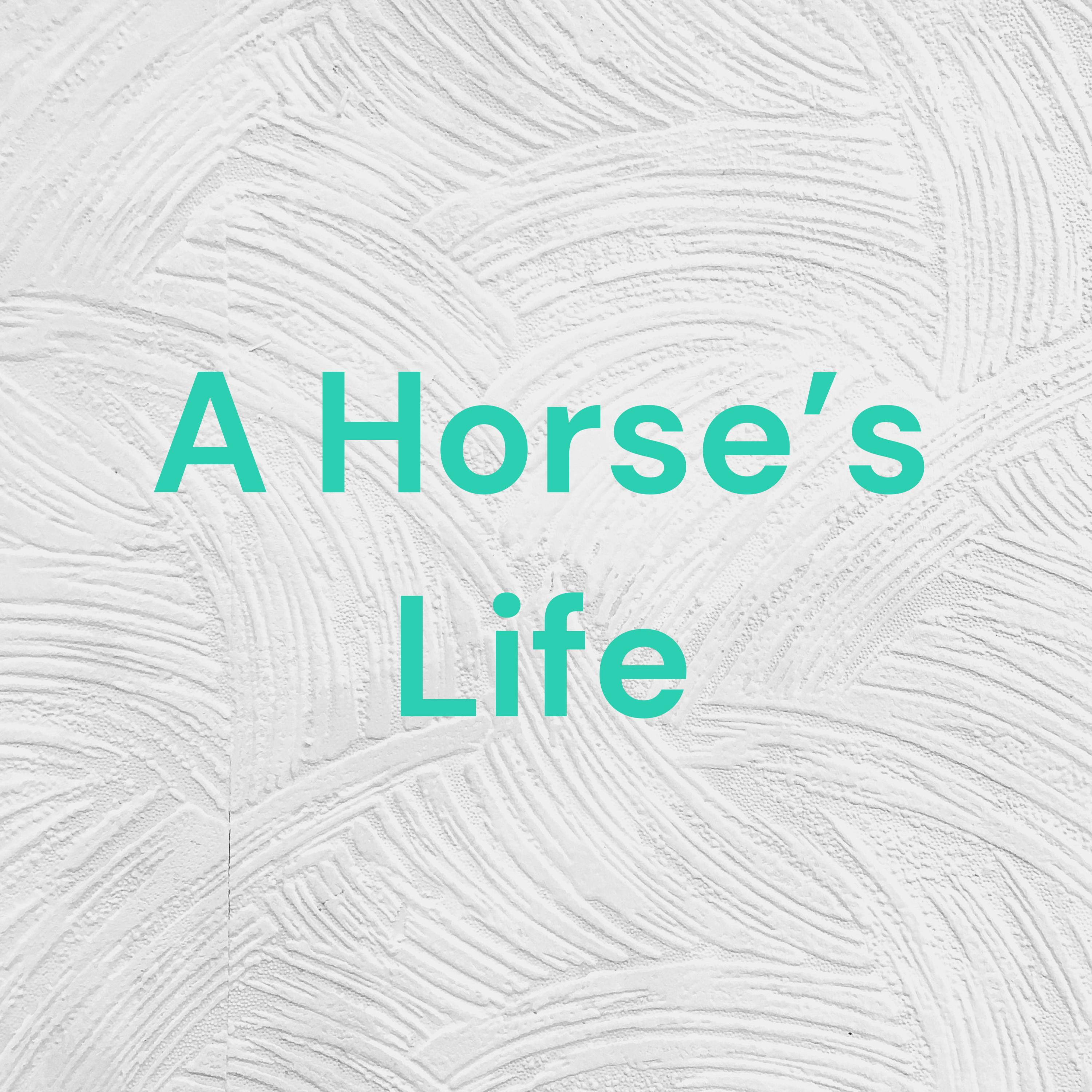A Horse's Life