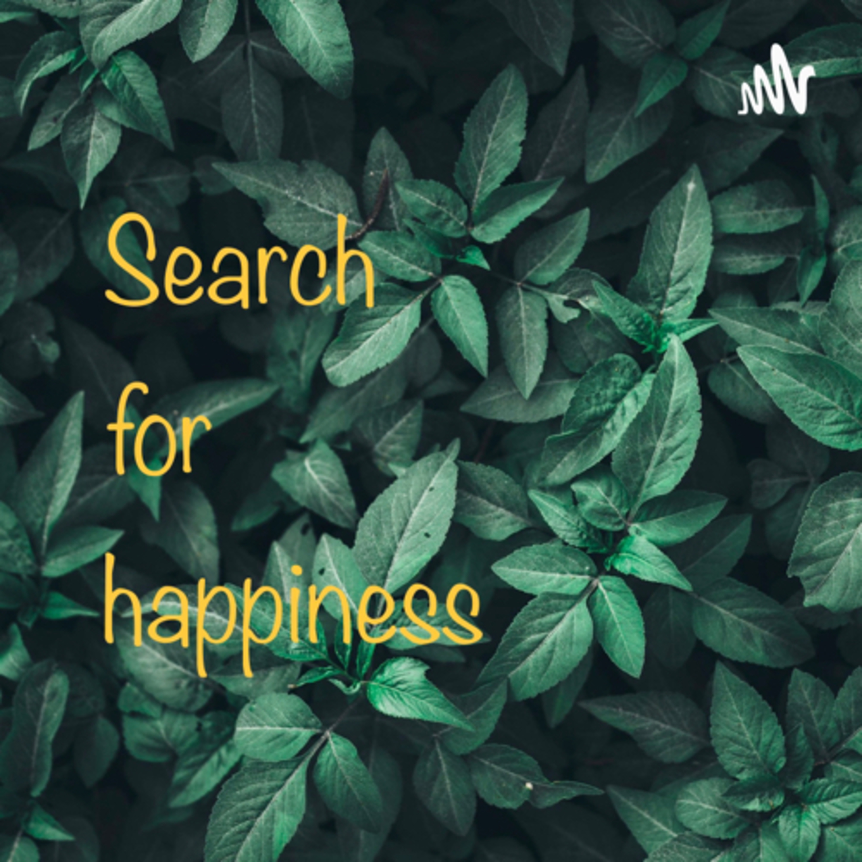 Search for Happiness cover art