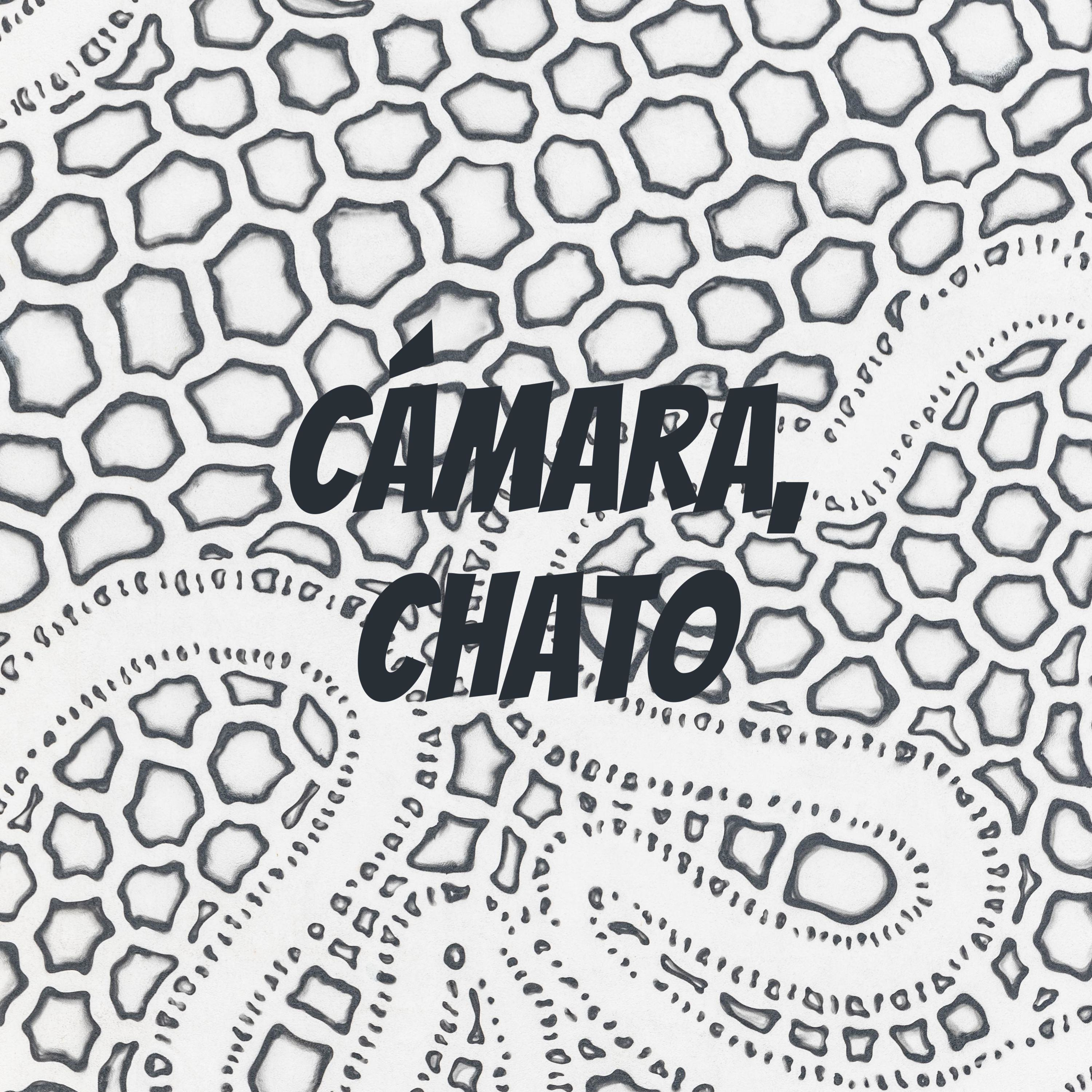 Cámara, chato cover art
