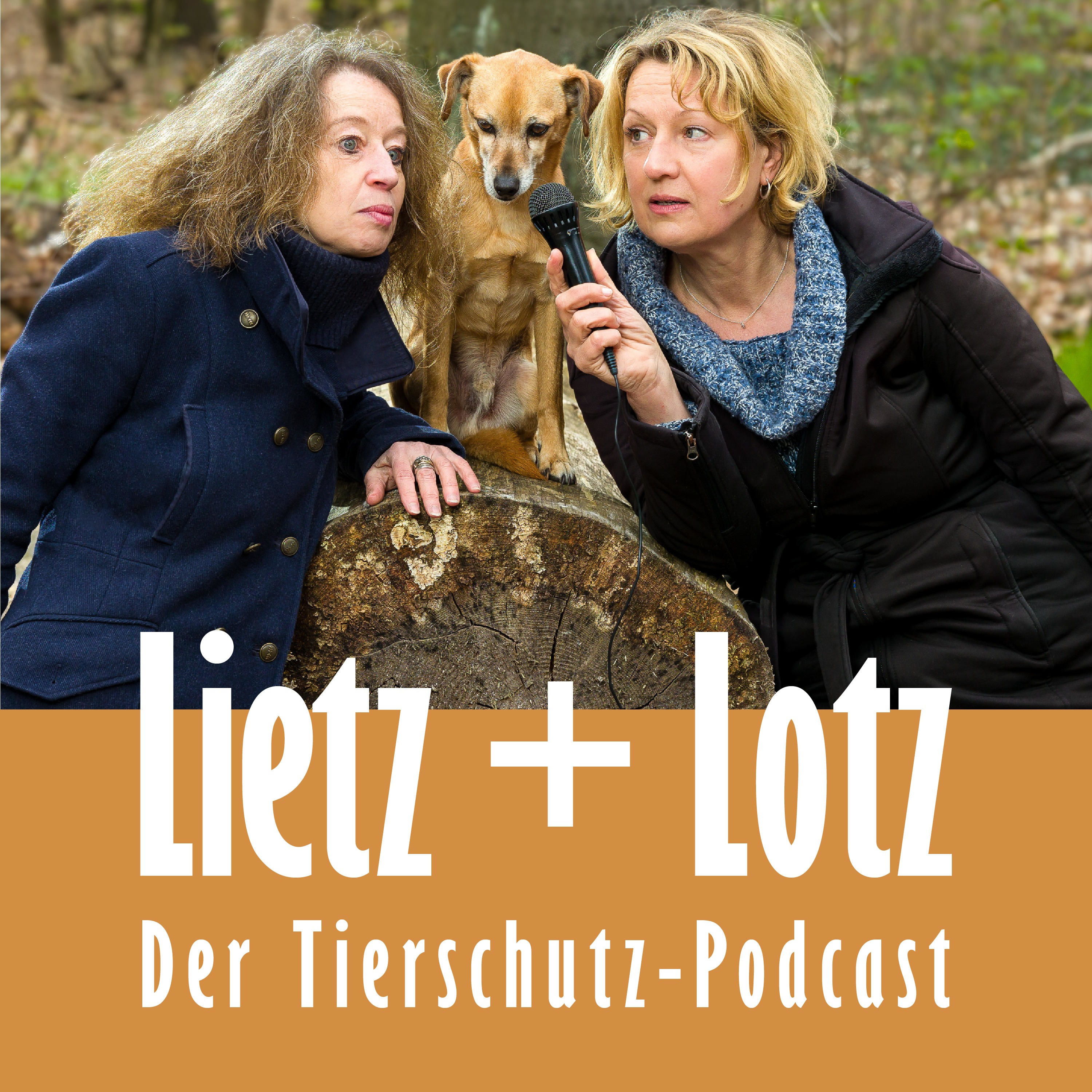Lietz und Lotz cover art