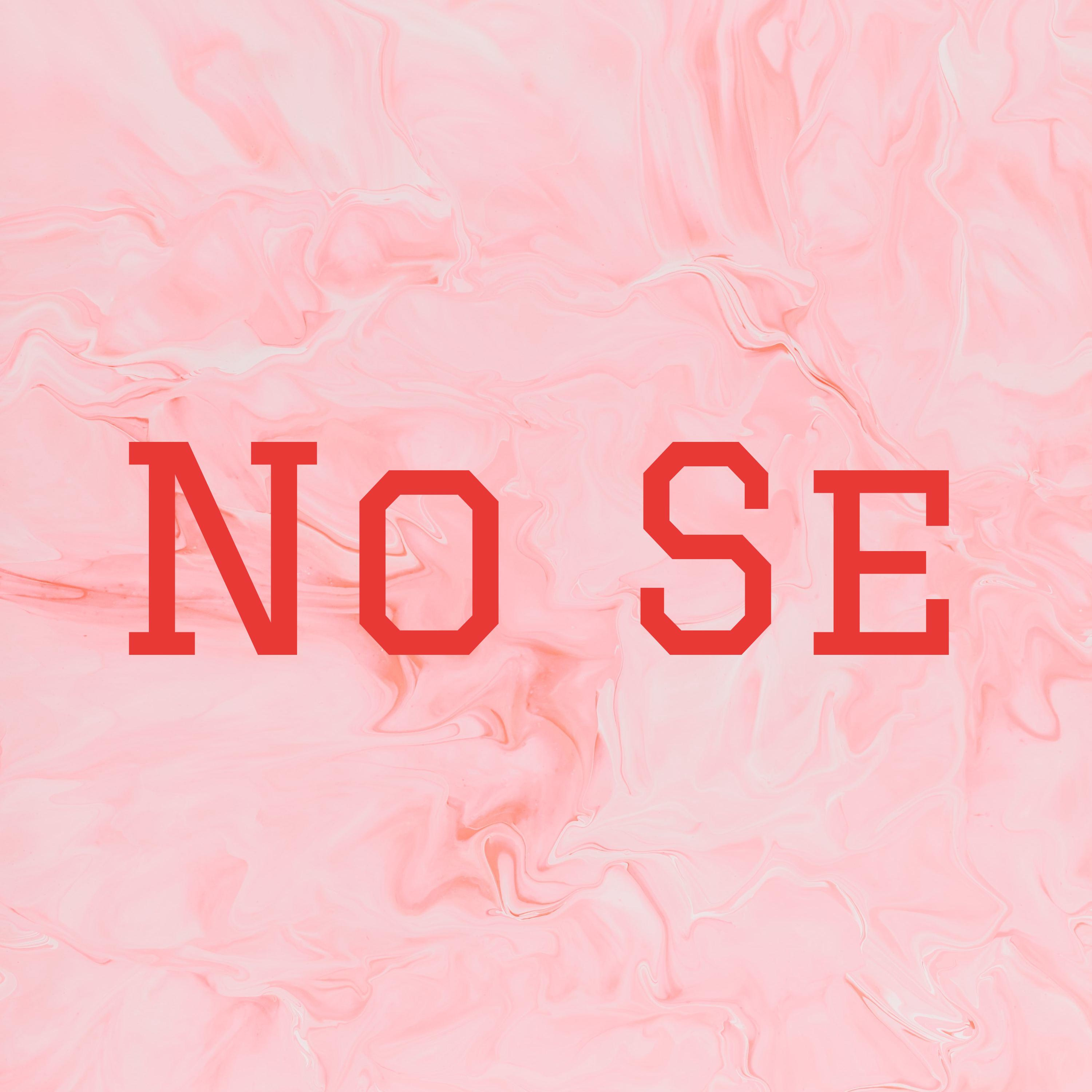 No Se cover art