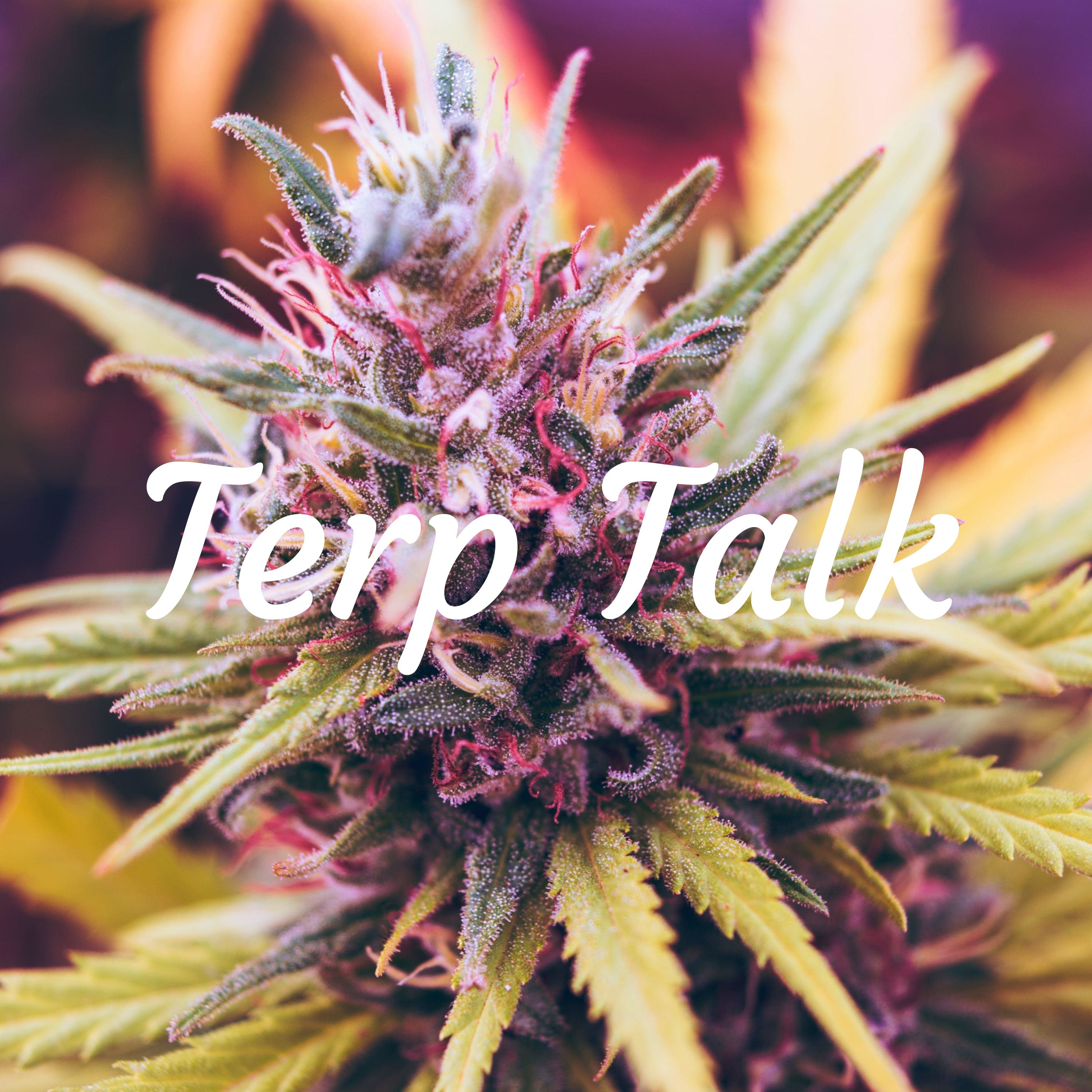 Terp Talk cover art