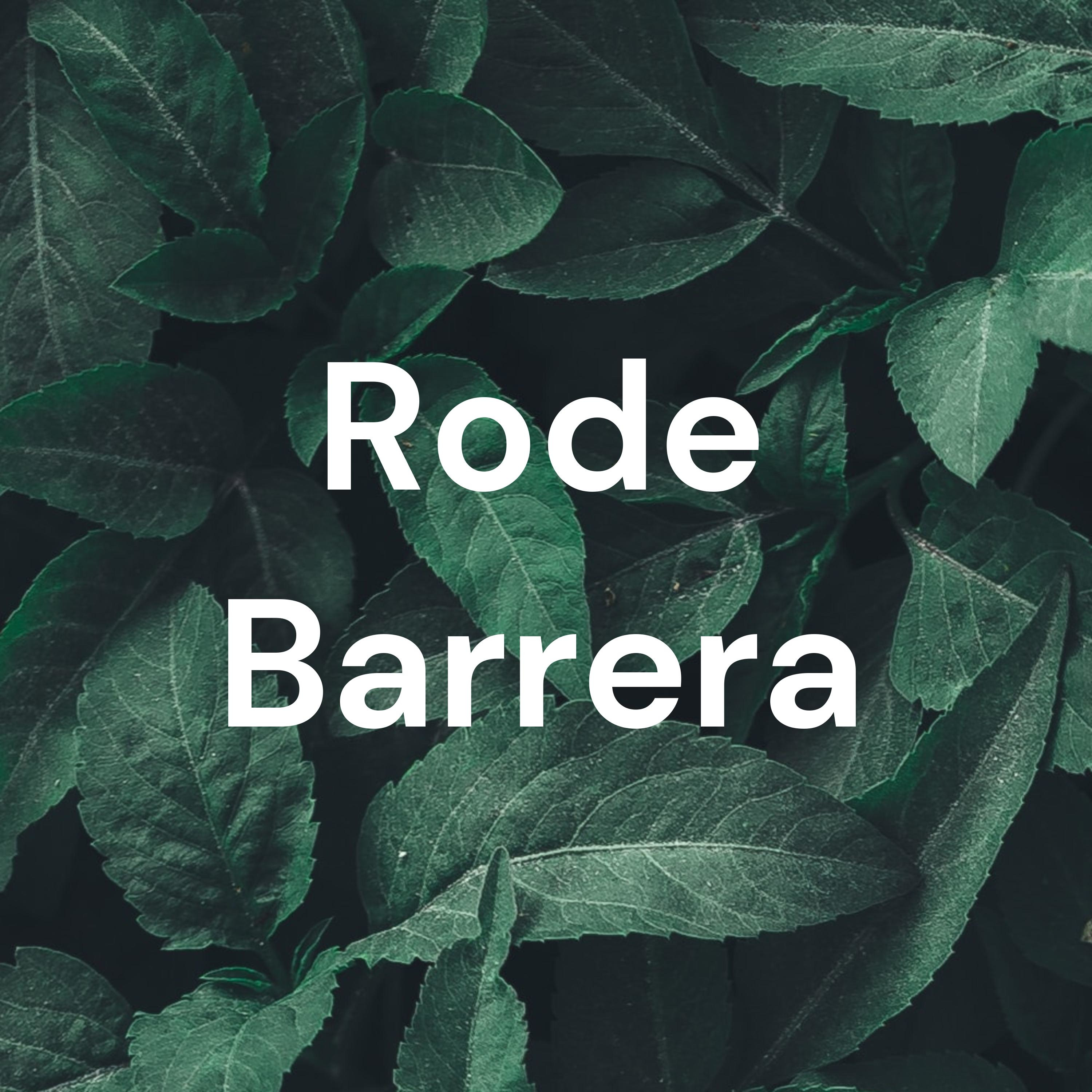 Rode Barrera cover art