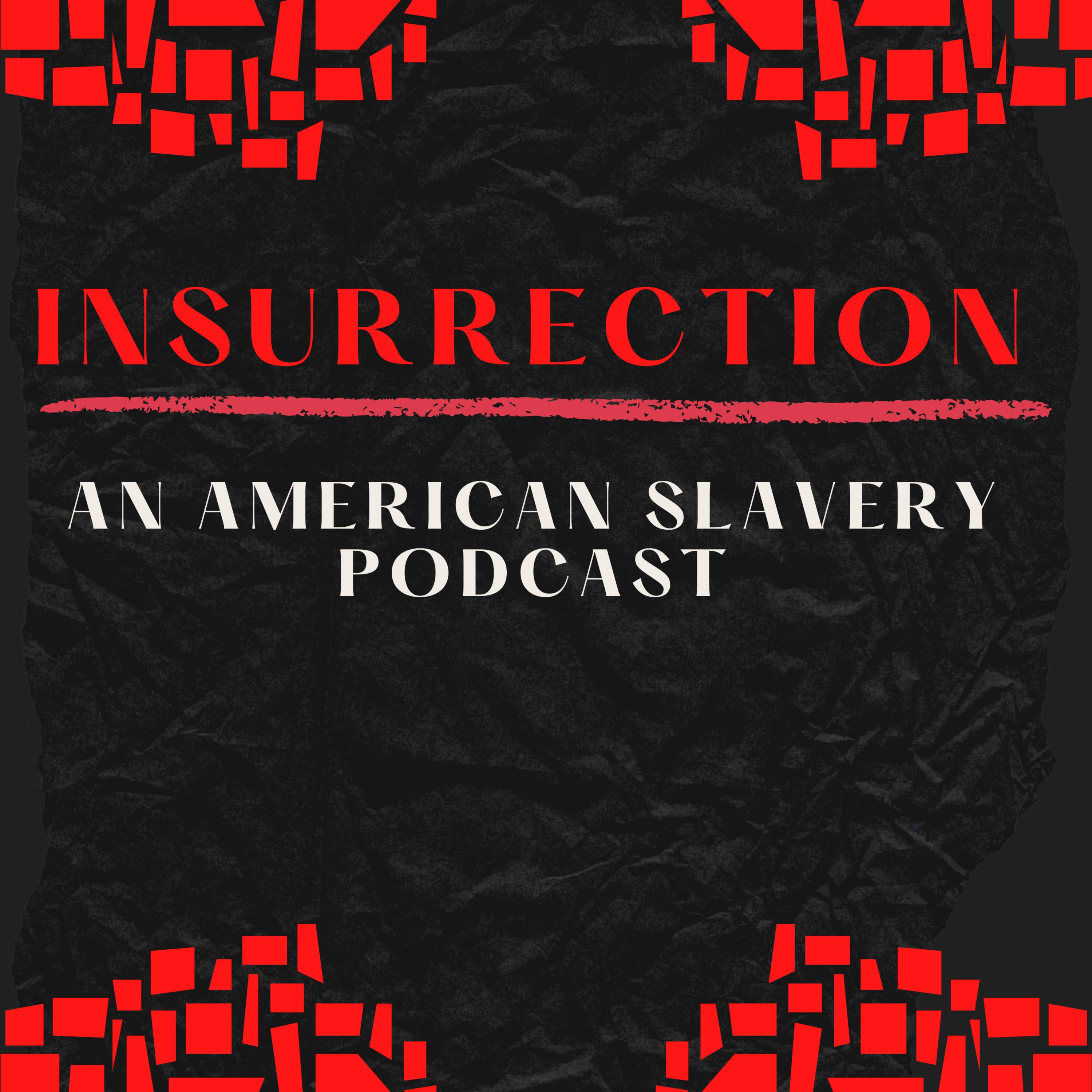 Insurrection: An American Slavery Podcast cover art