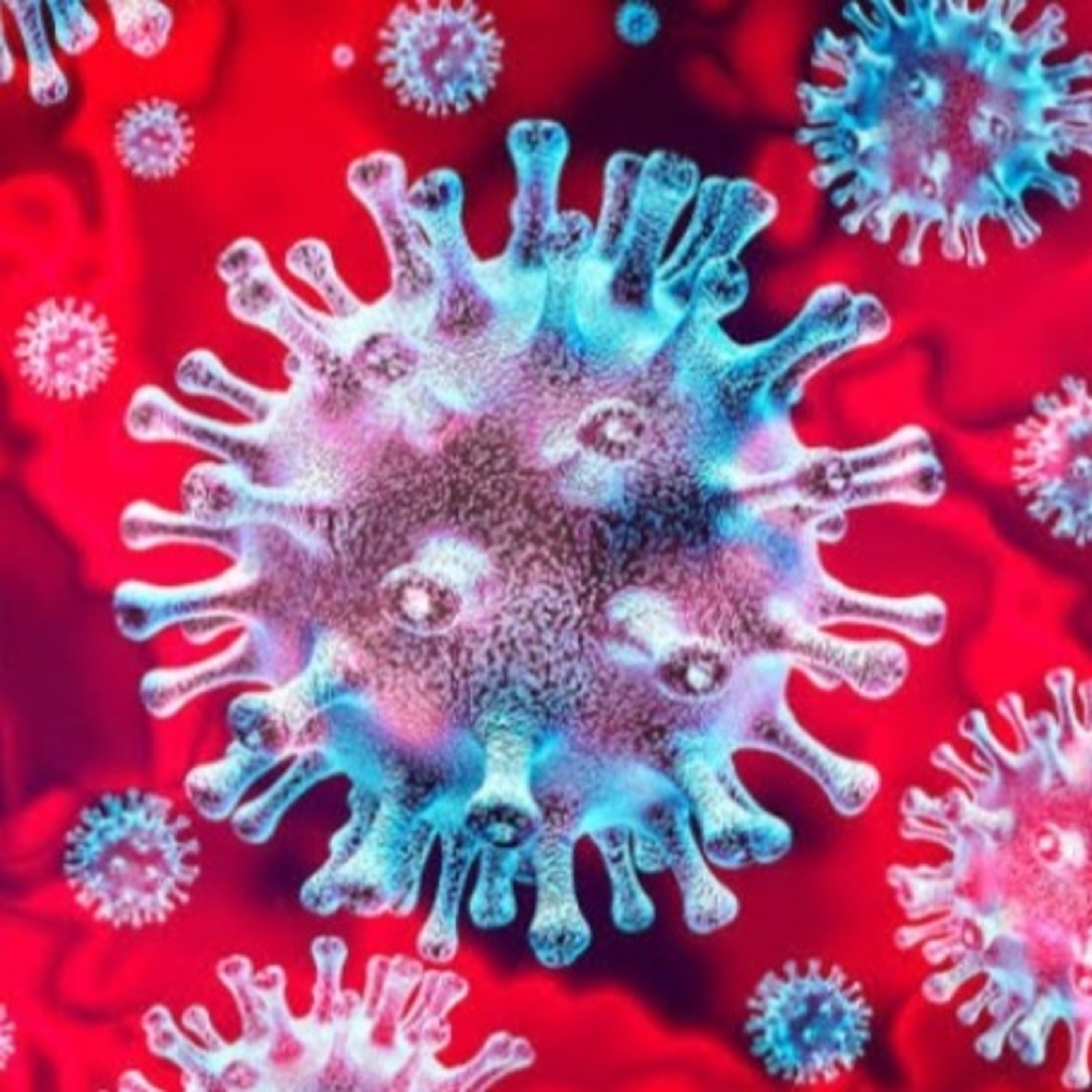 El Virus Esta Vivo, Que Son