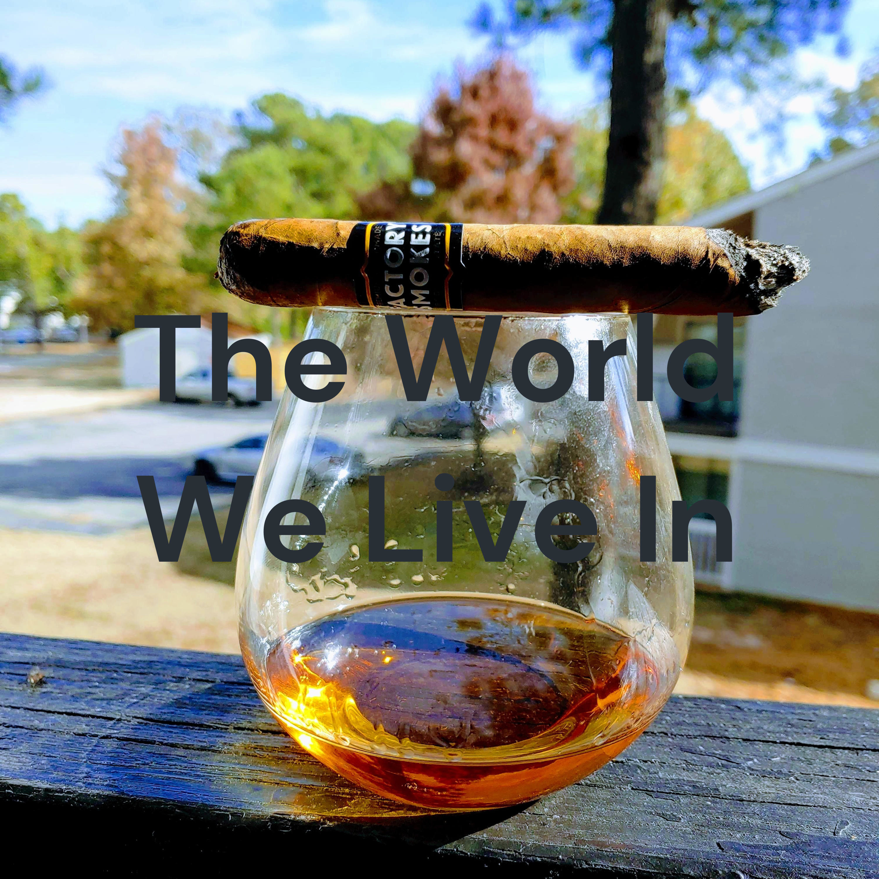 The World We Live In cover art