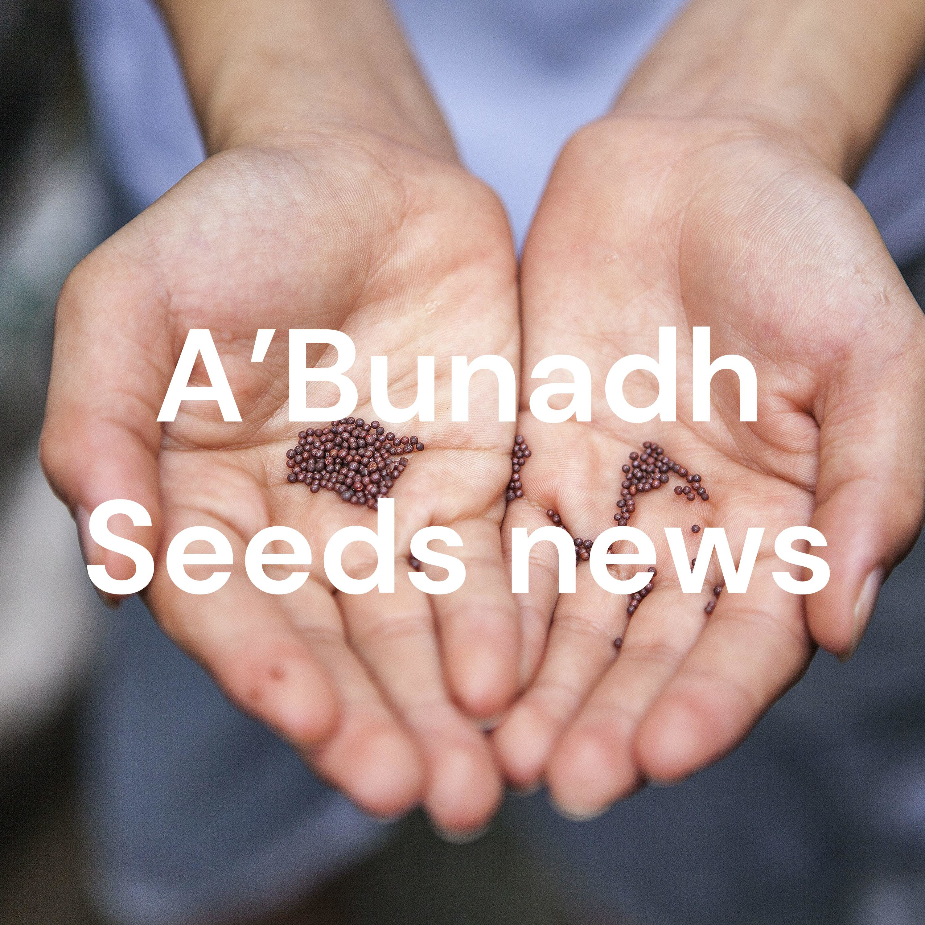 A’Bunadh Seeds news cover art