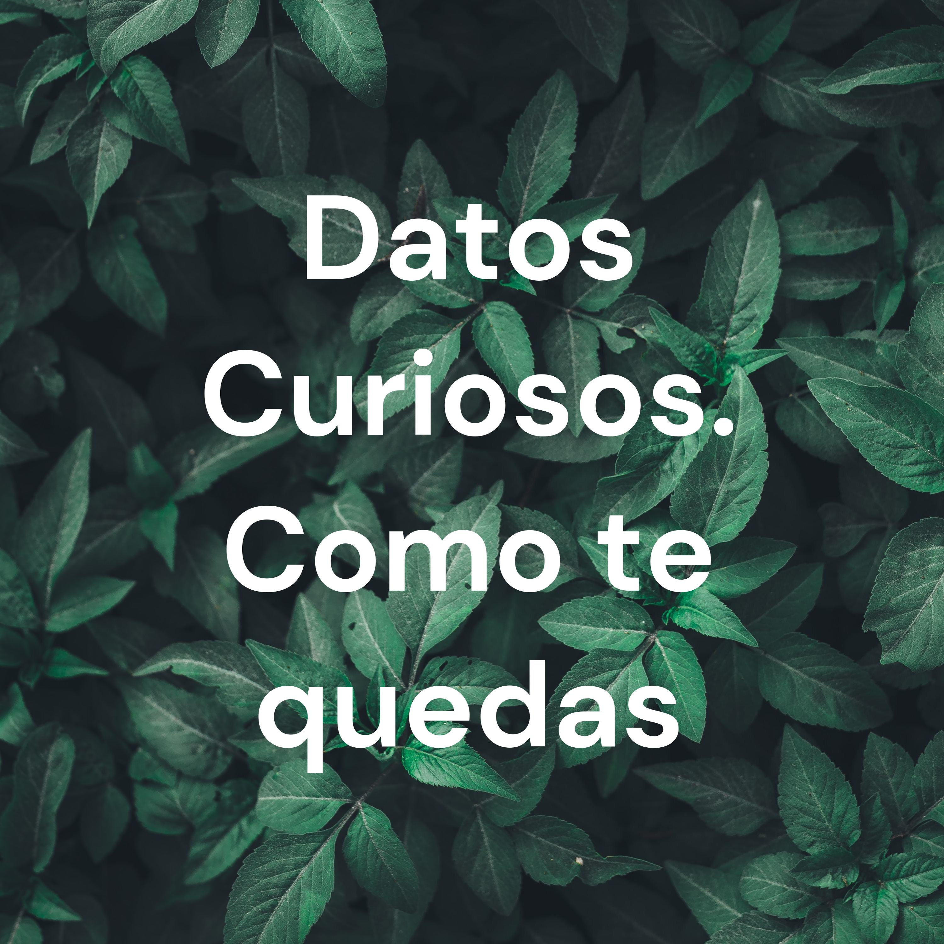 Datos Curiosos. Como te quedas cover art