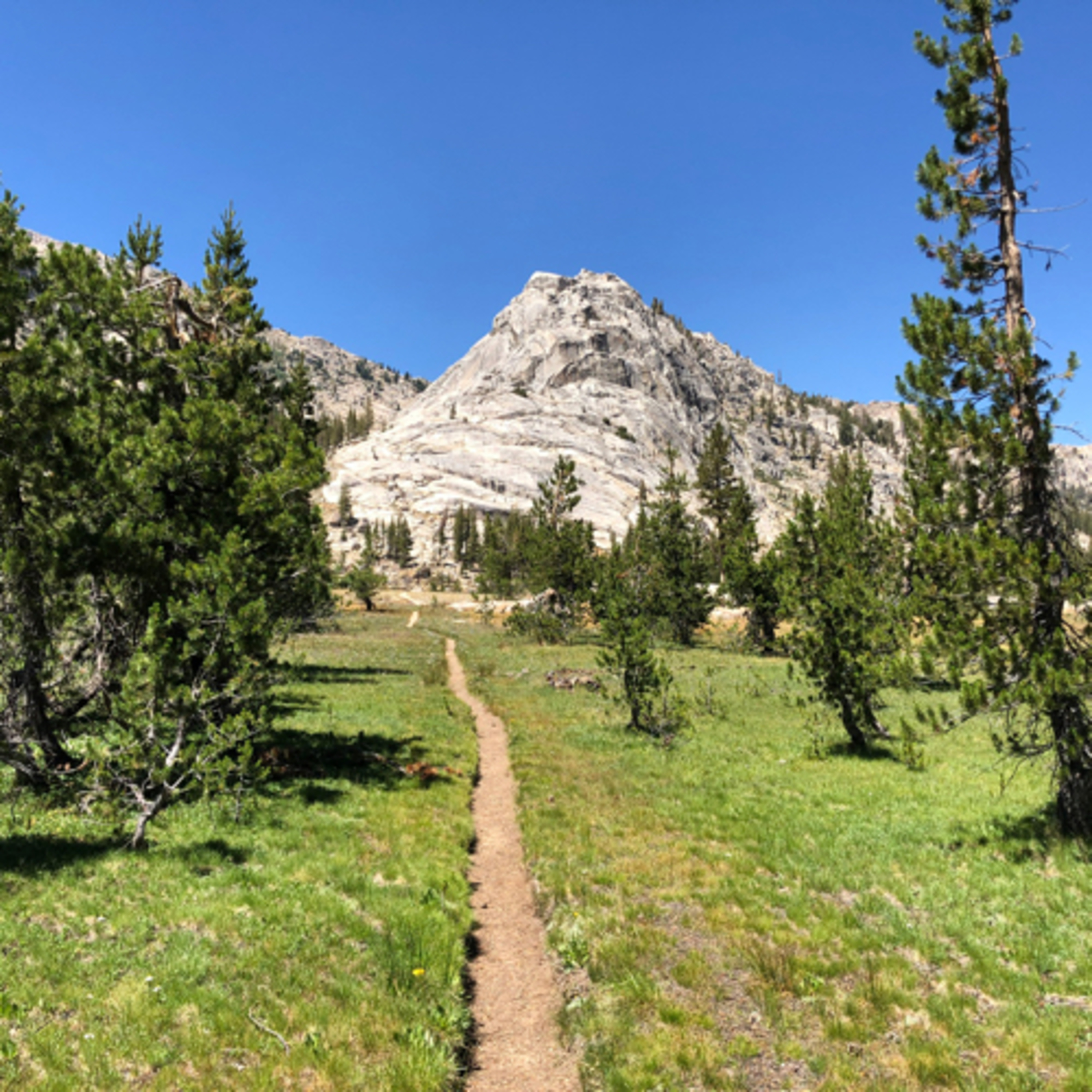 Trail Crunch cover art