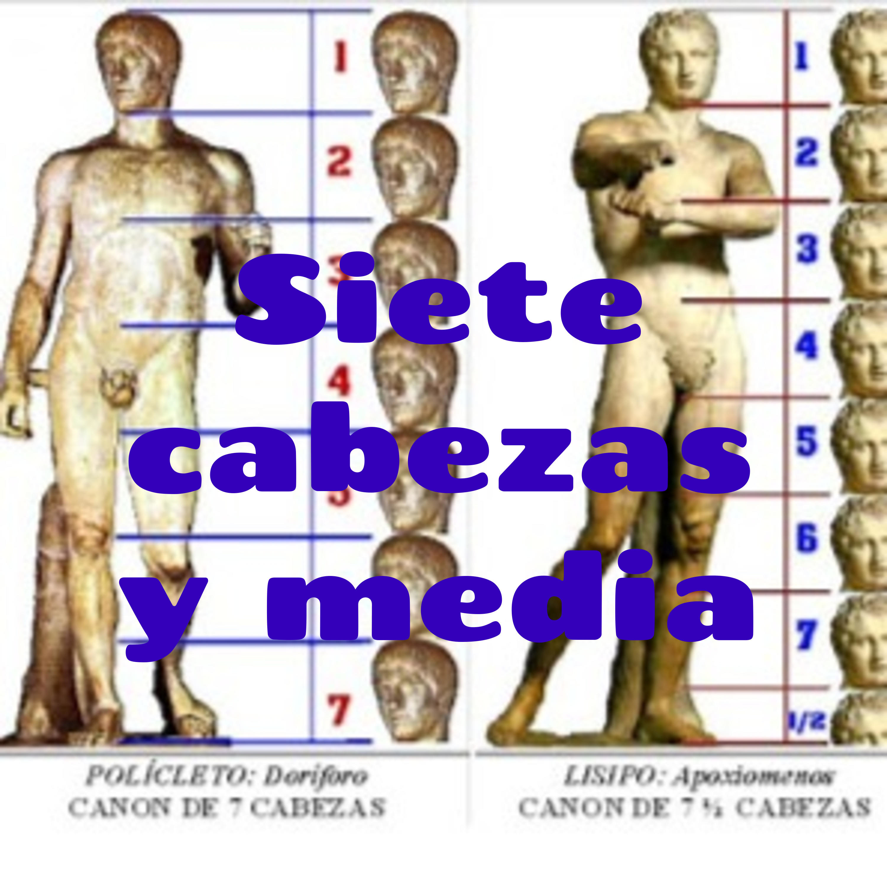 Siete cabezas y media