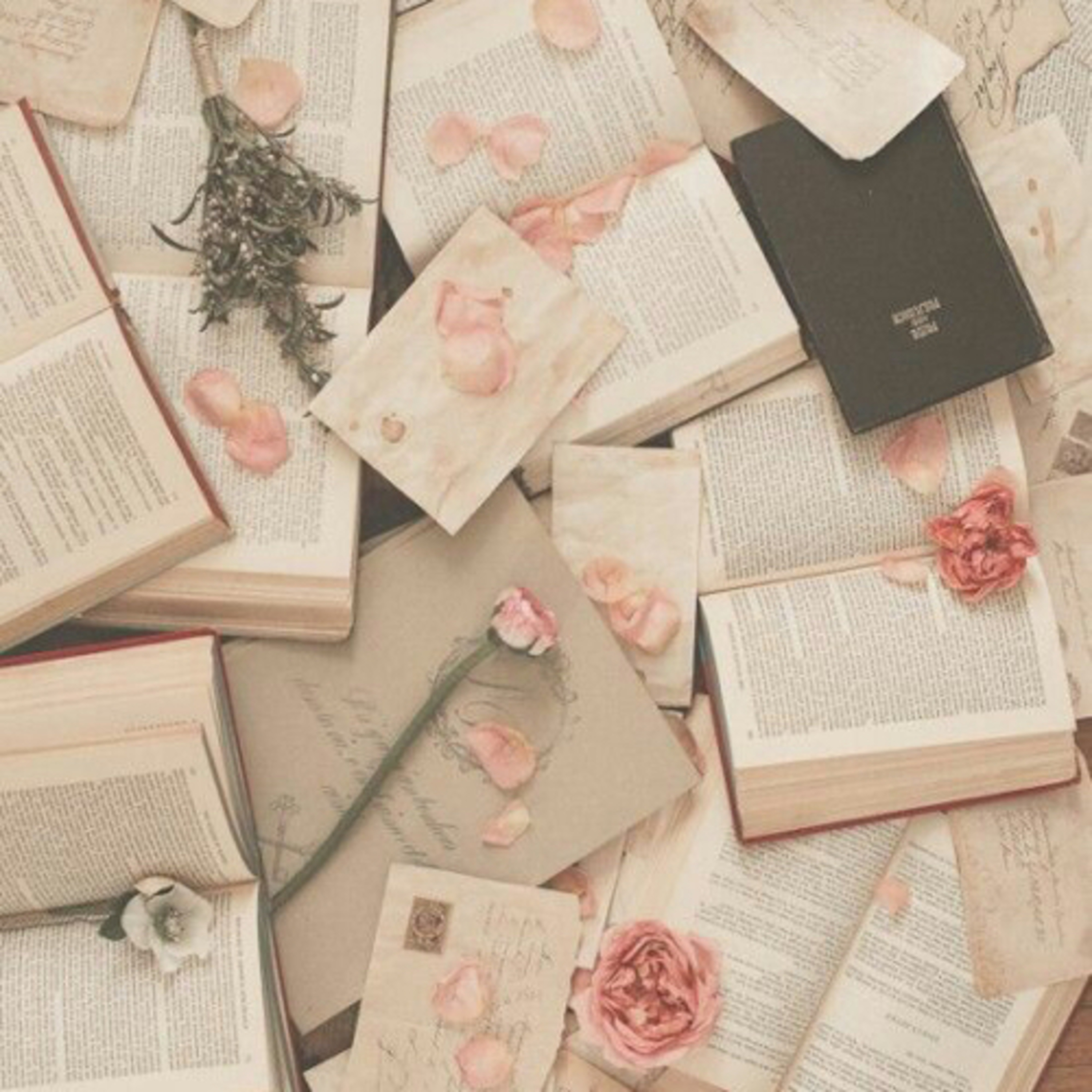 Nida Shabila cover art