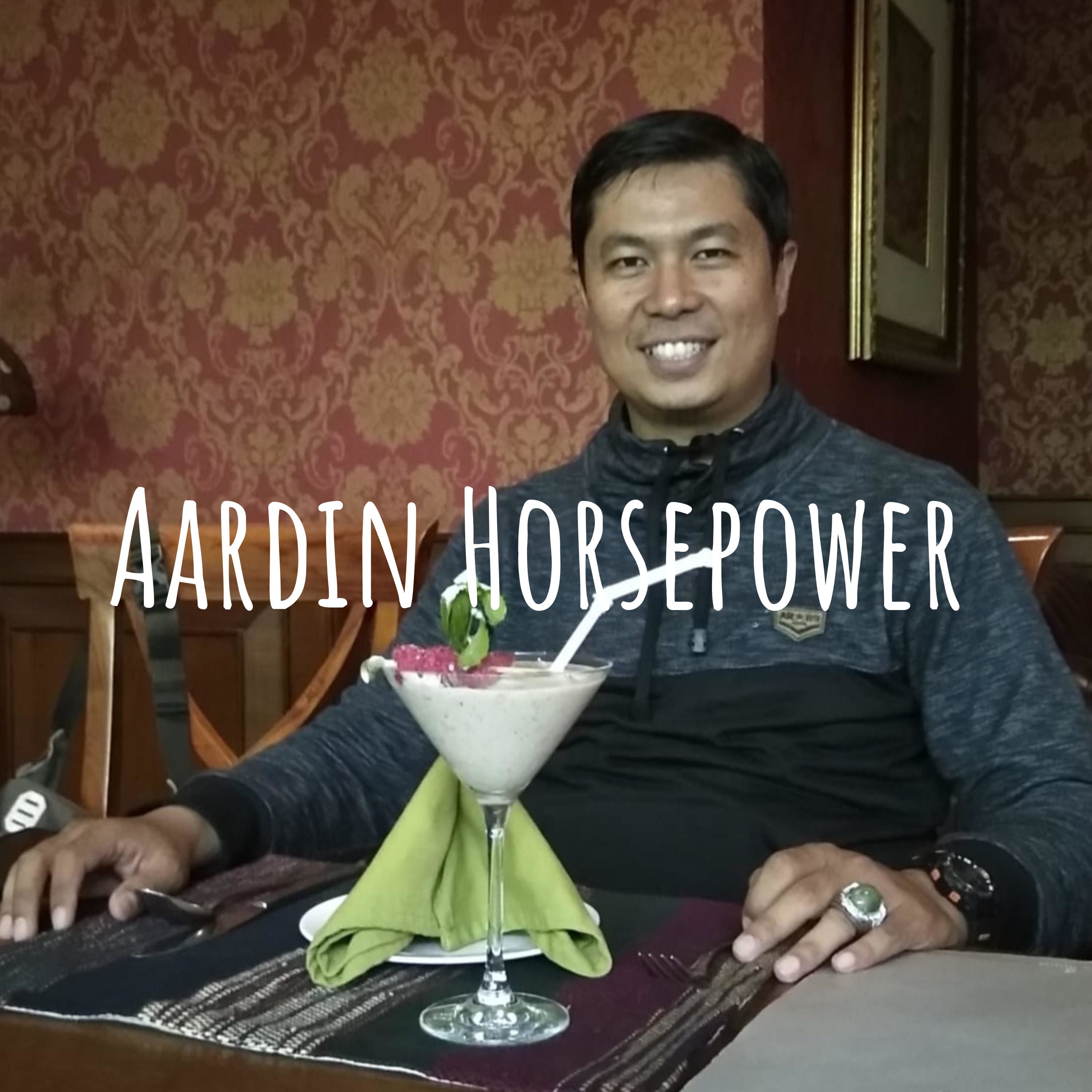 Aardin Horsepower