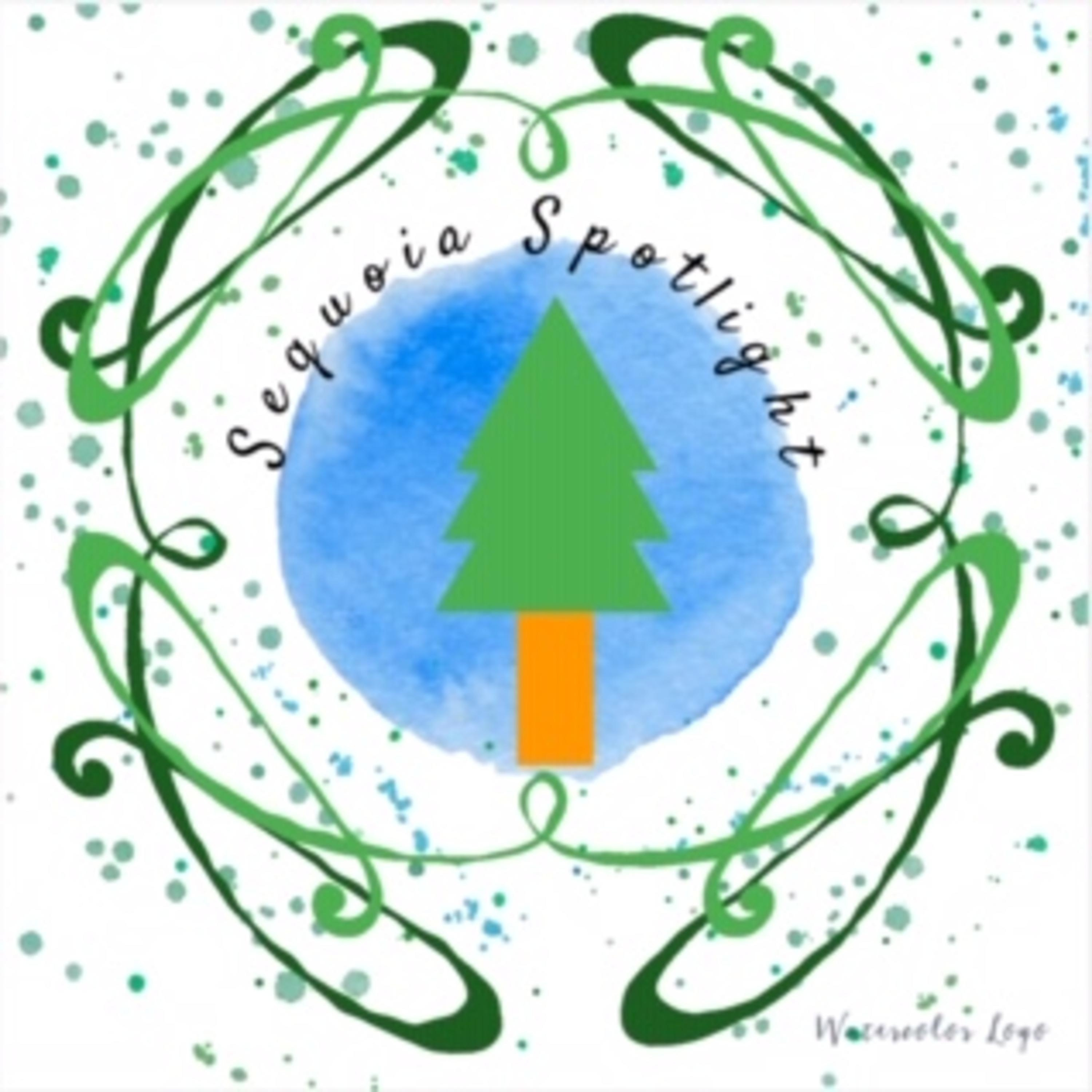 Sequoia Spotlight