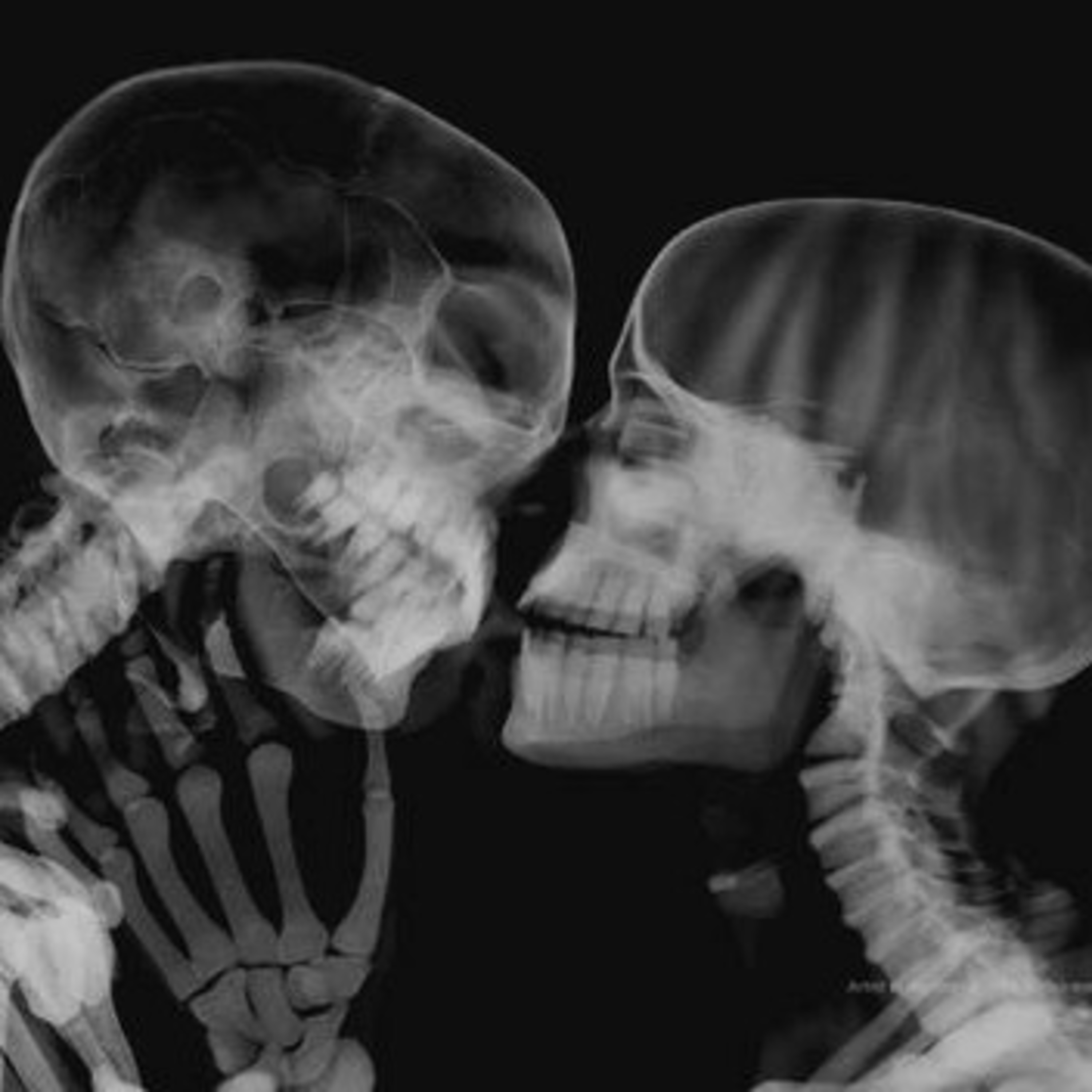 Skeletons Do Not Know Gender cover art