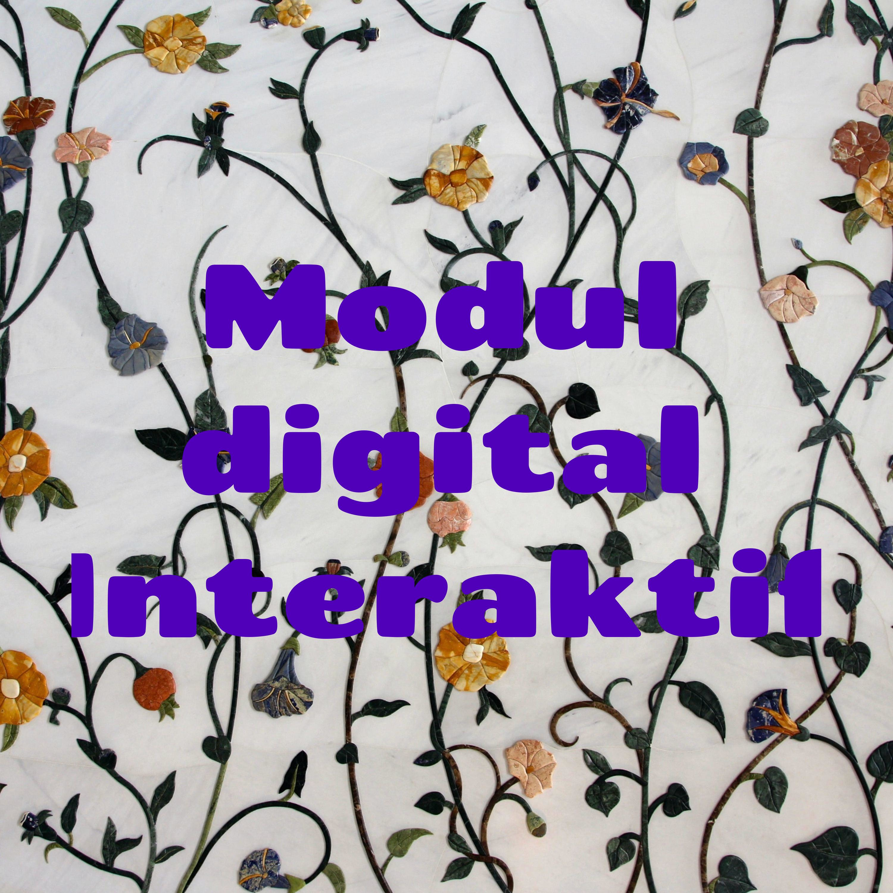 Modul digital Interaktif