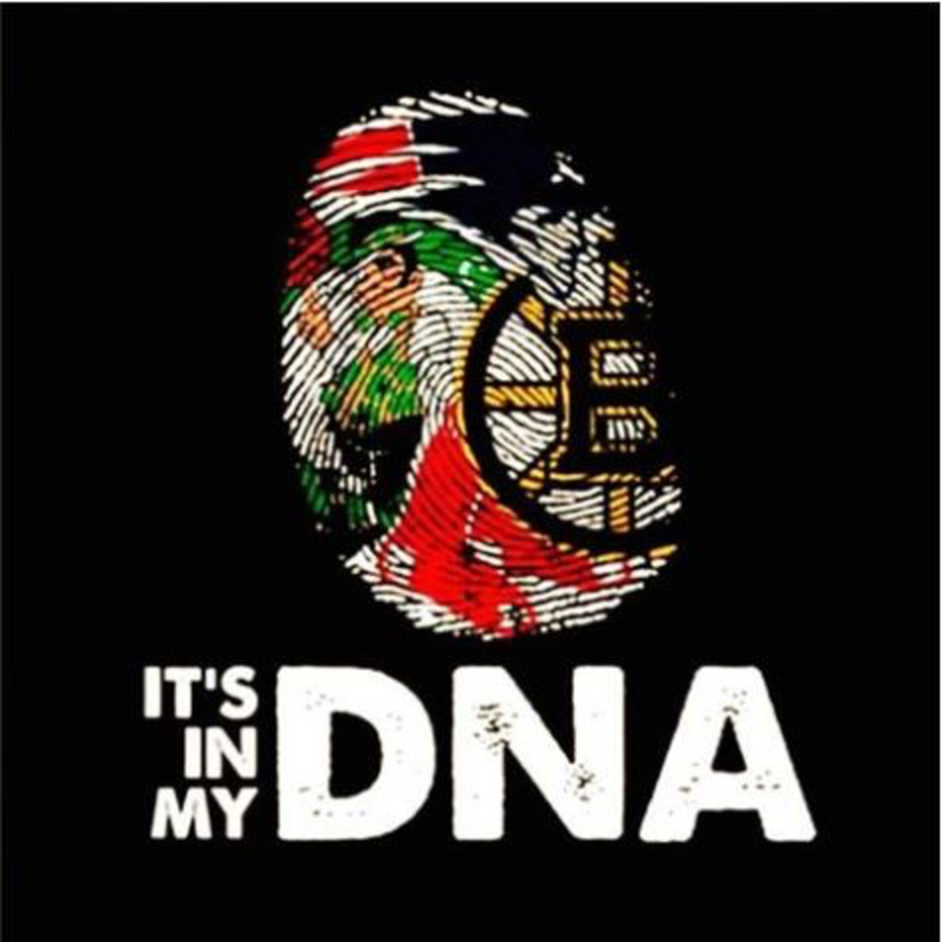 Patriots 2019 Offseason