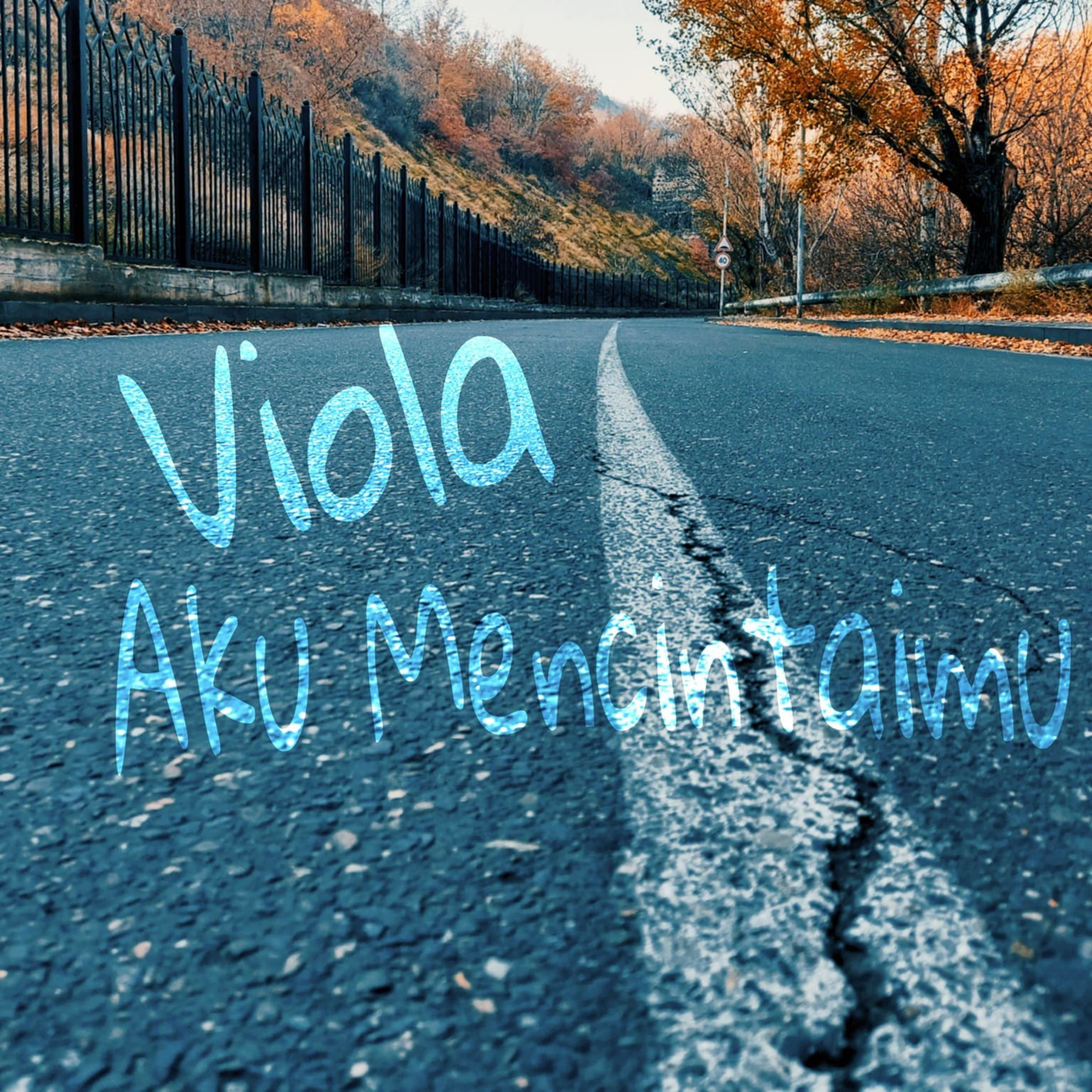 Budi Vio