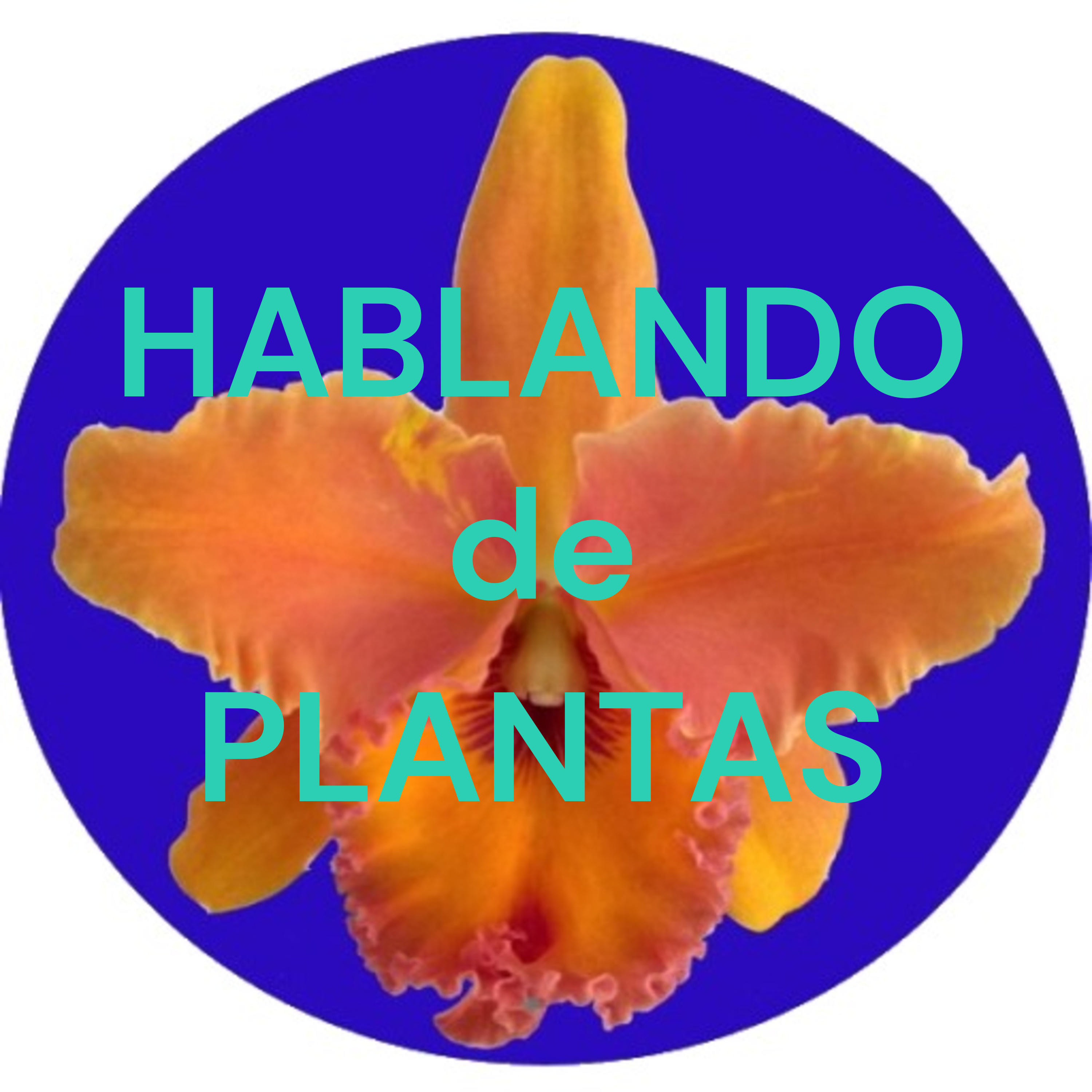 HABLANDO de PLANTAS