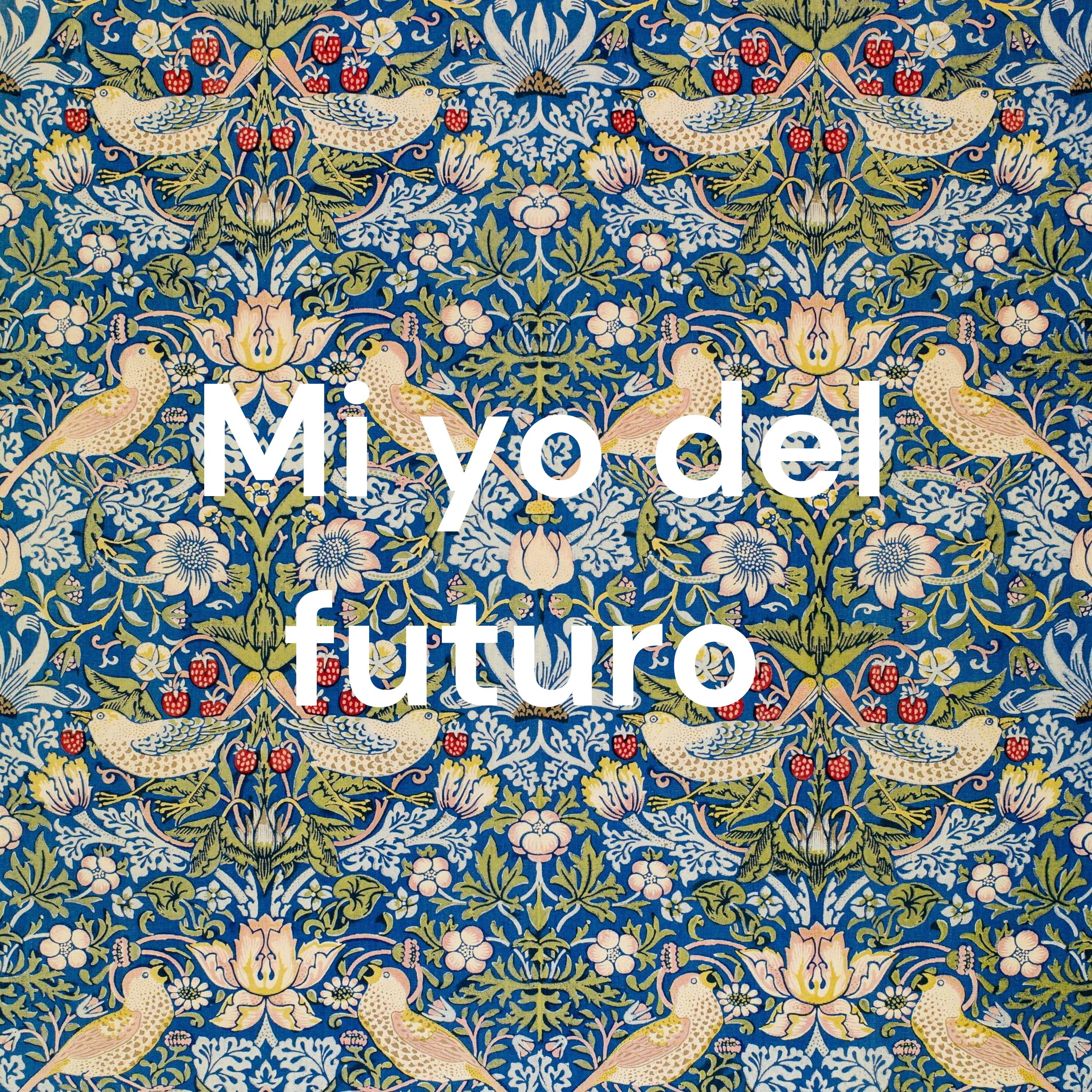 Mi yo del futuro