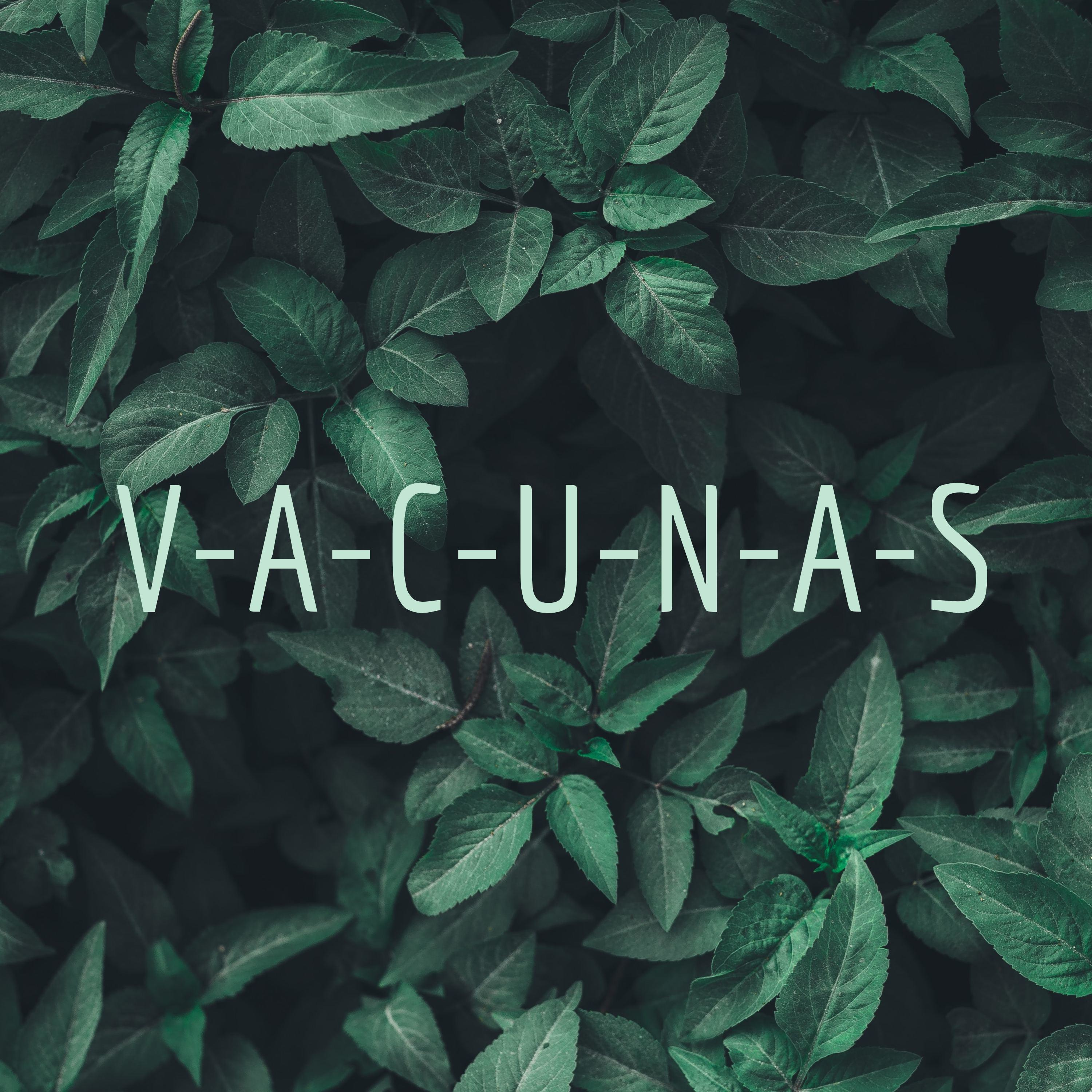 V-A-C-U-N-A-S cover art