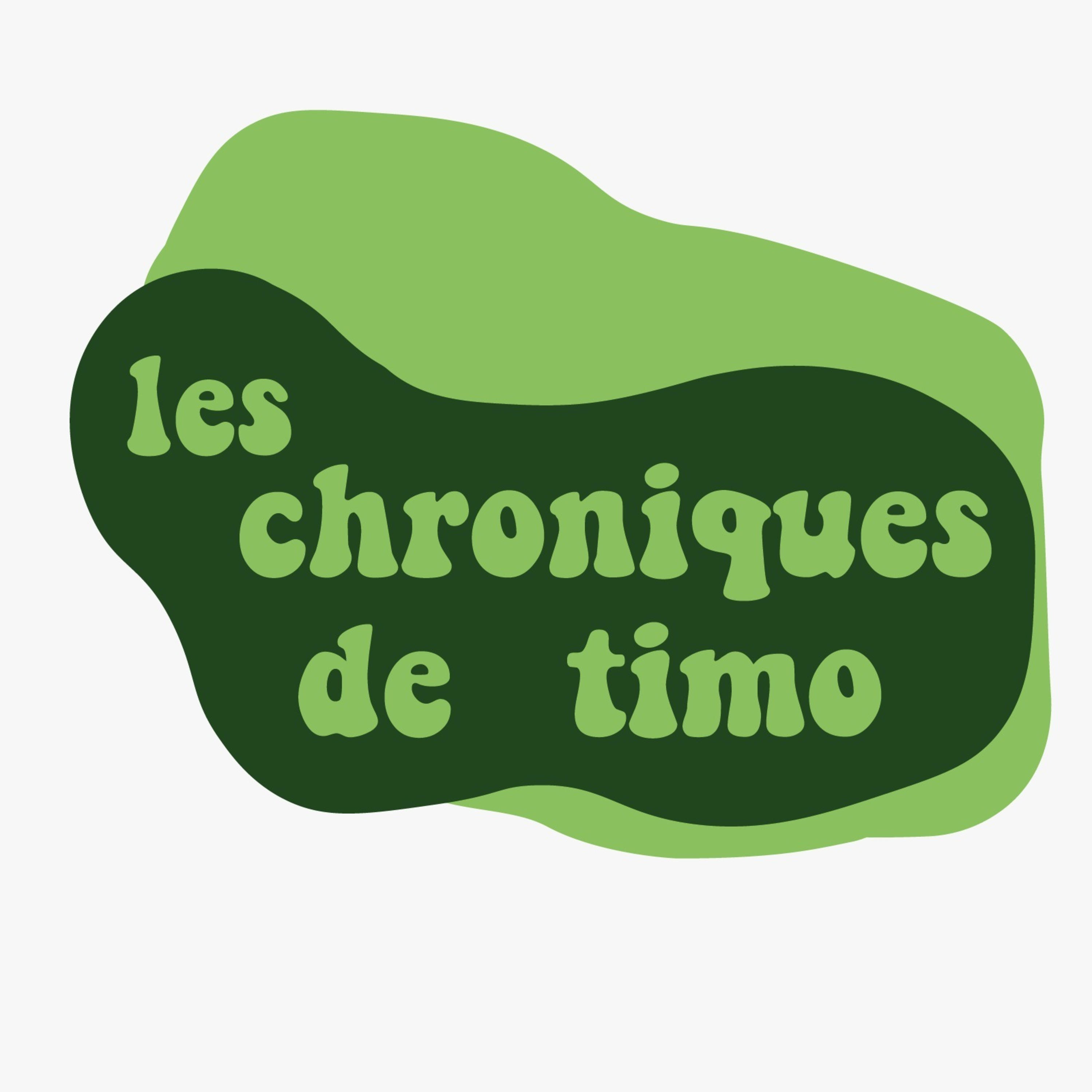 Les chroniques de timo podcast artwork