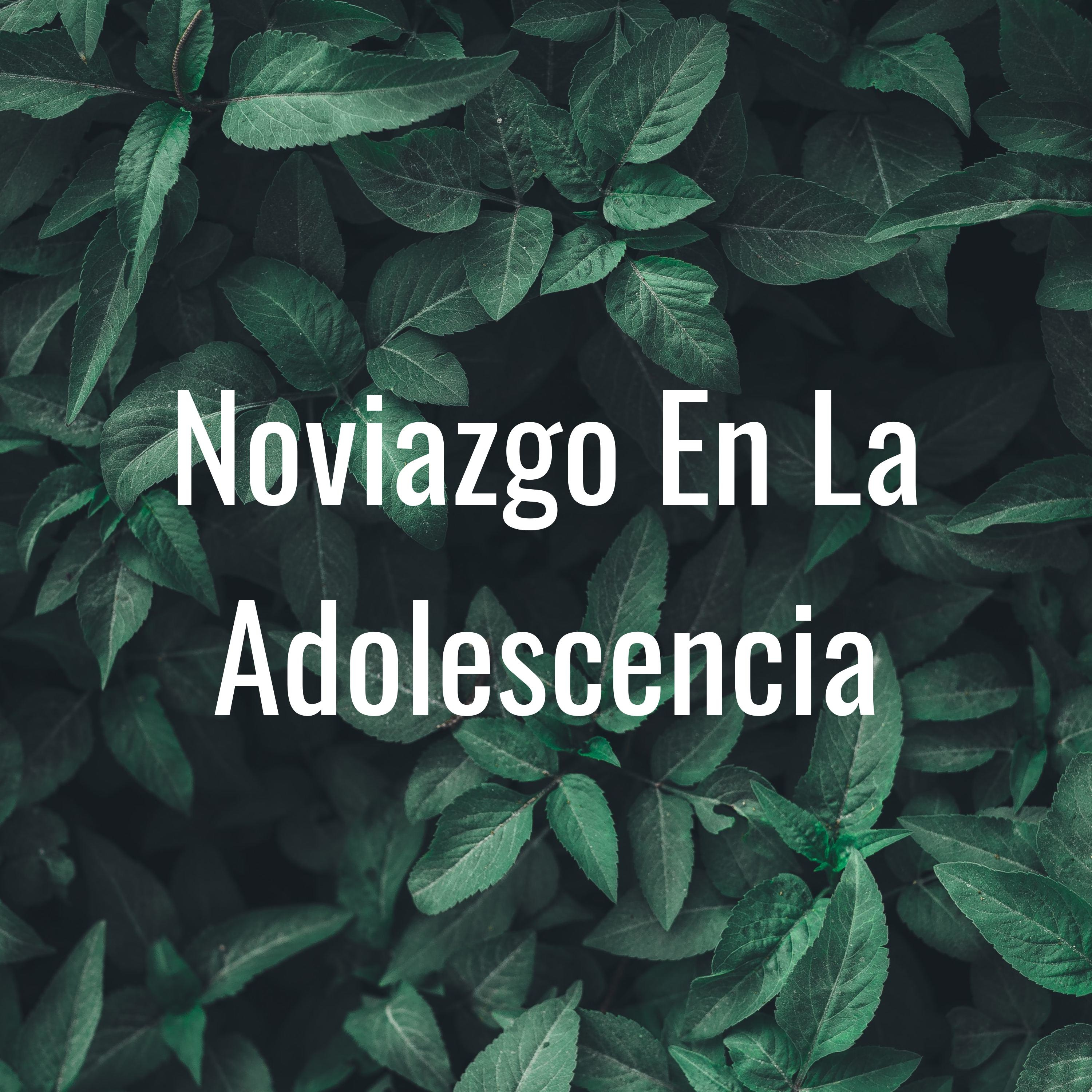 Noviazgo En La Adolescencia