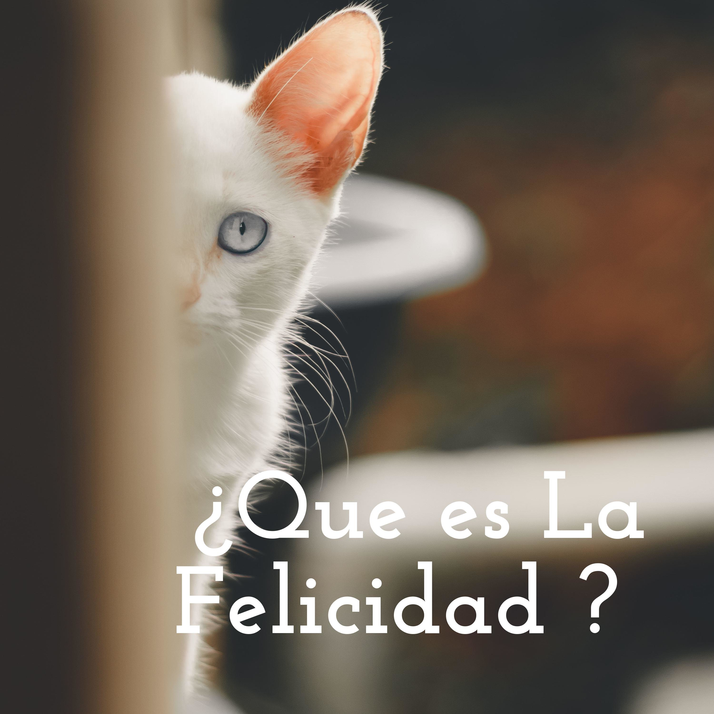 ¿Que es La Felicidad ☺? 